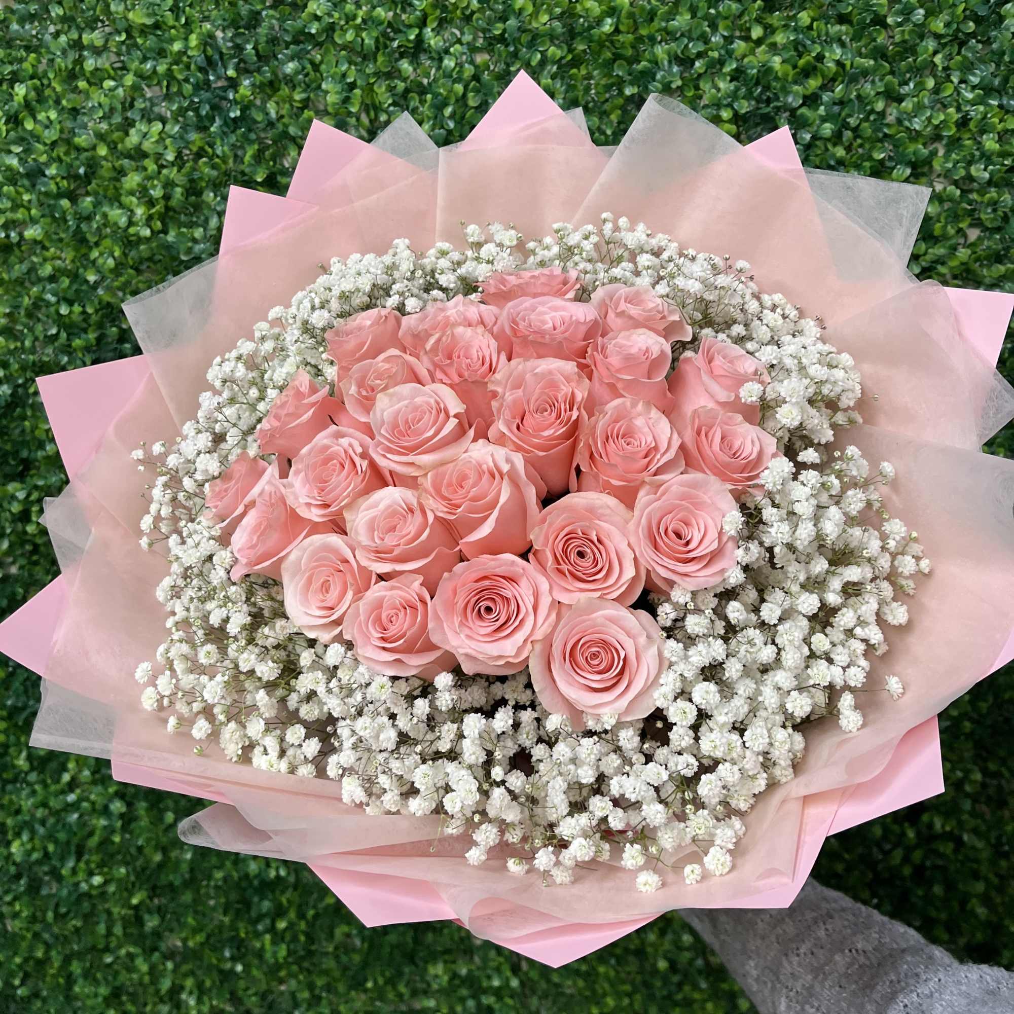 25 of our premium pink roses wrapped with babies breath all around.