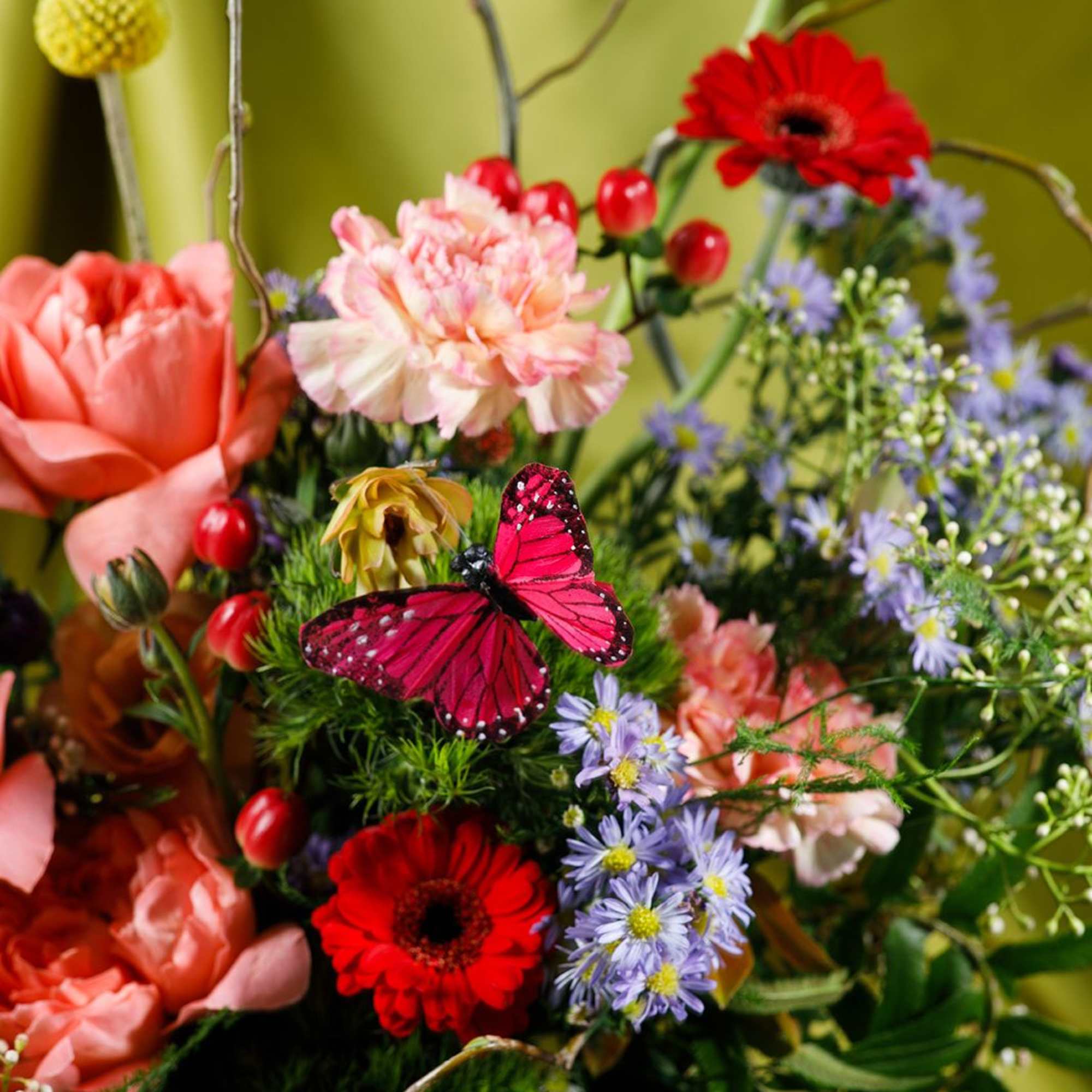 The Foundation Mother

Grounded and quietly beautiful, Miss Earthworm is a study in