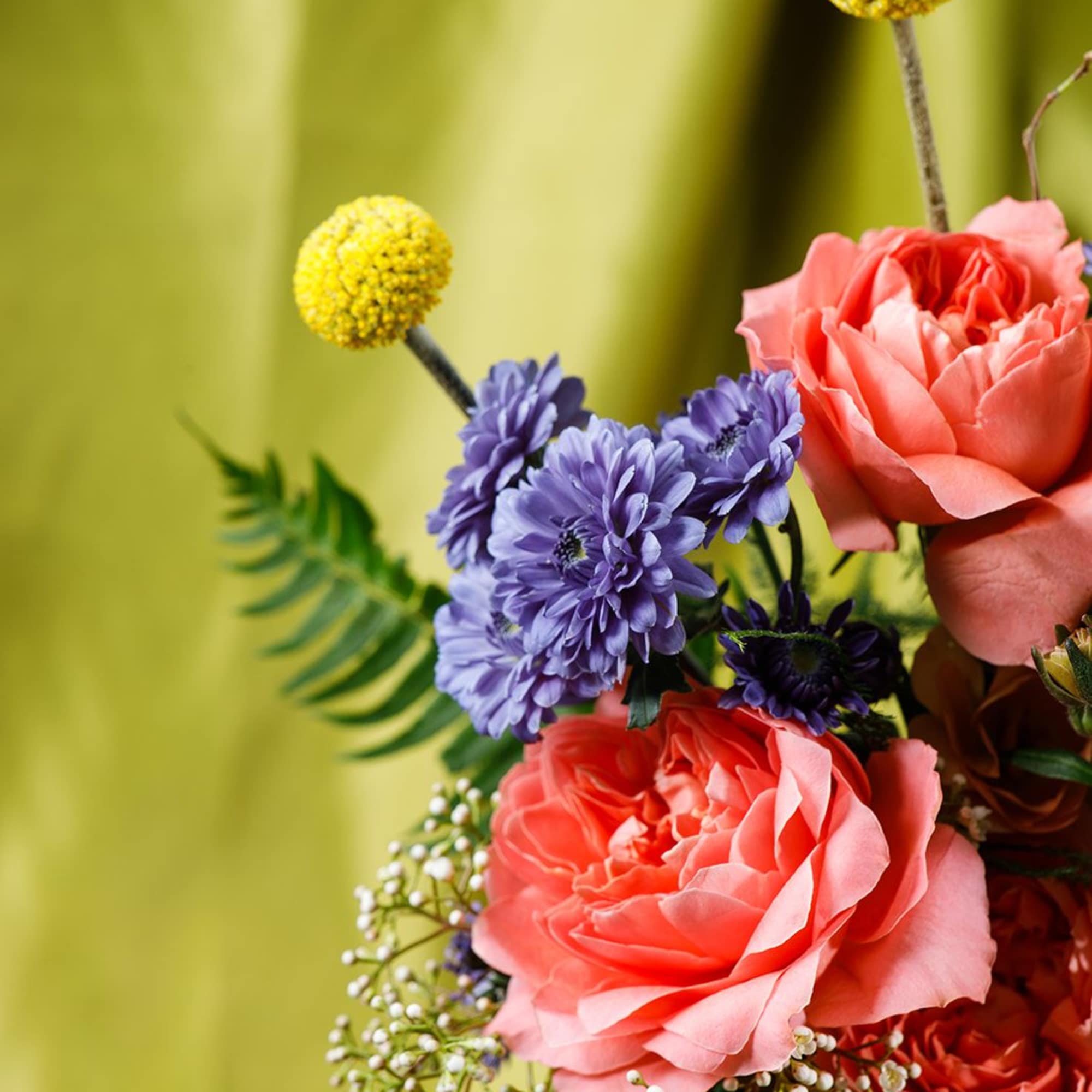 The Foundation Mother

Grounded and quietly beautiful, Miss Earthworm is a study in