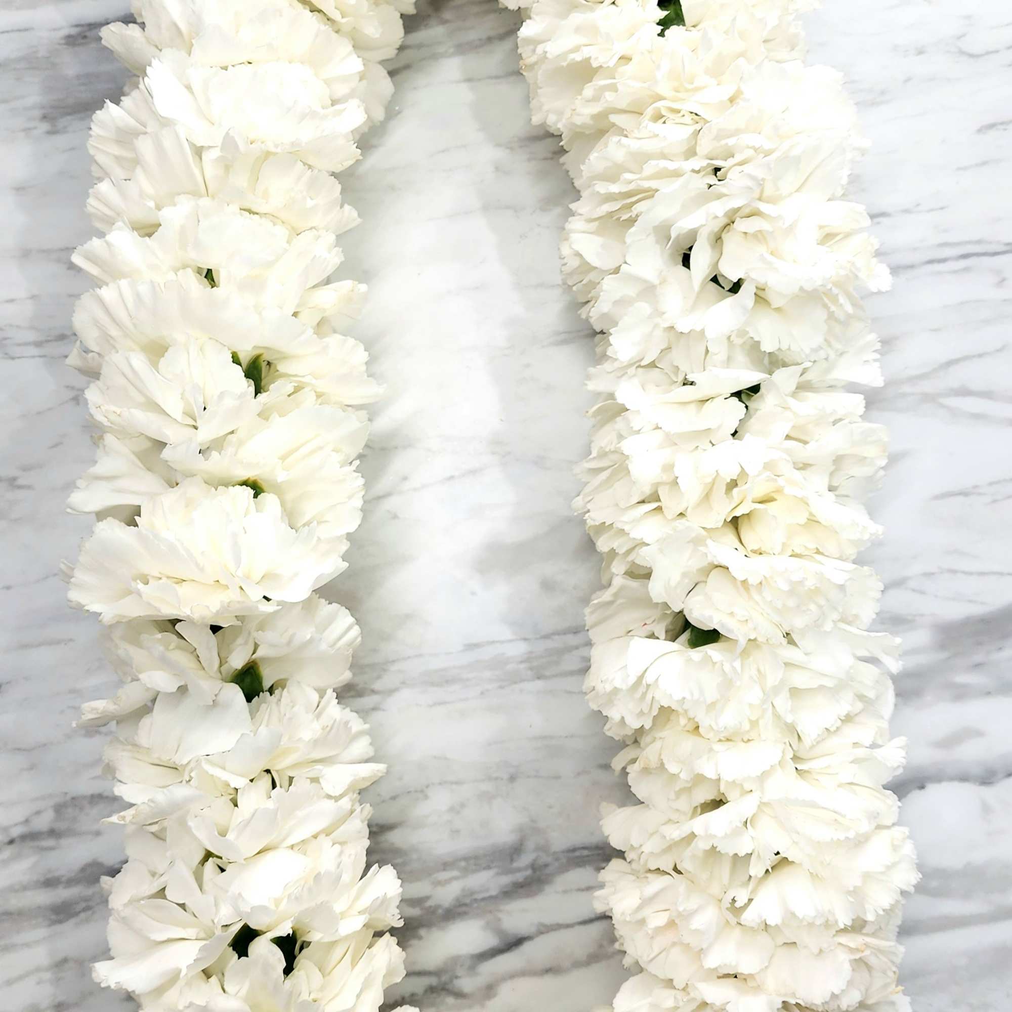 White flower lei with a blue ribbon bow