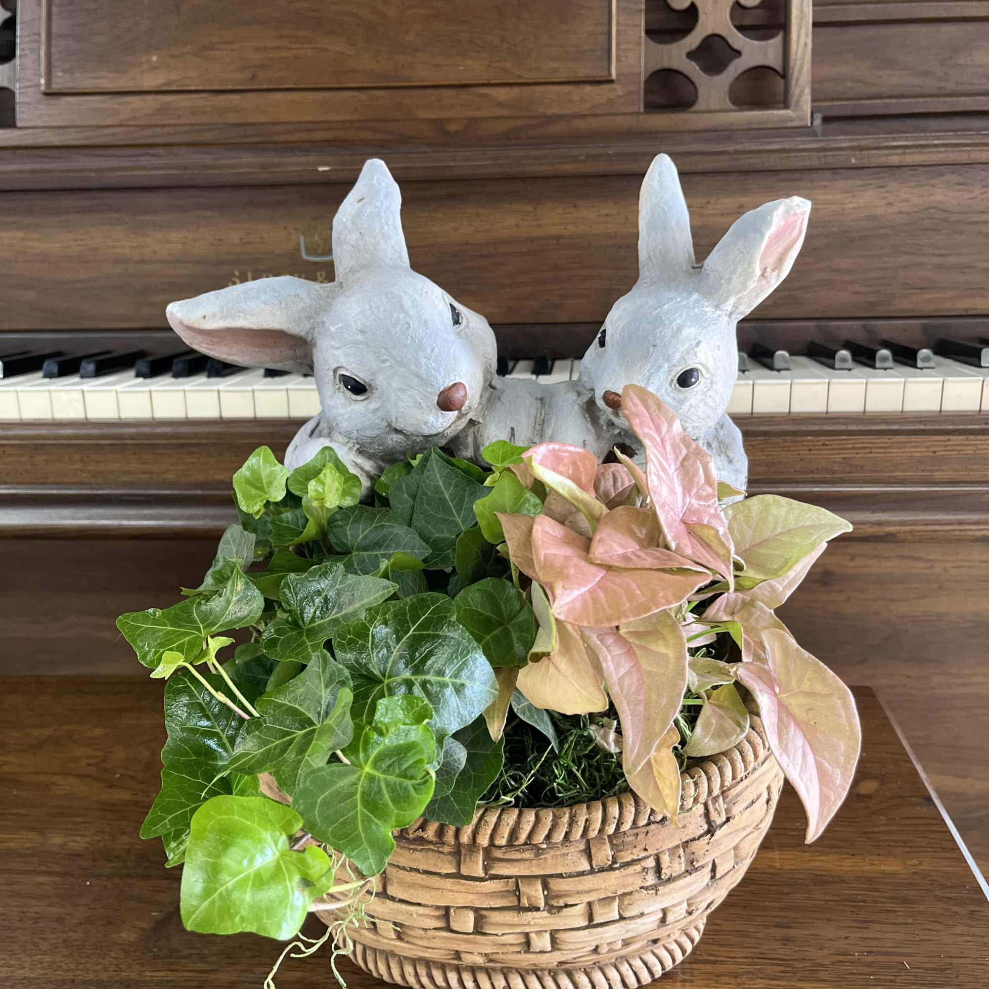 A whimsical rabbit-shaped planter overflowing with variegated greenery makes this potted plant