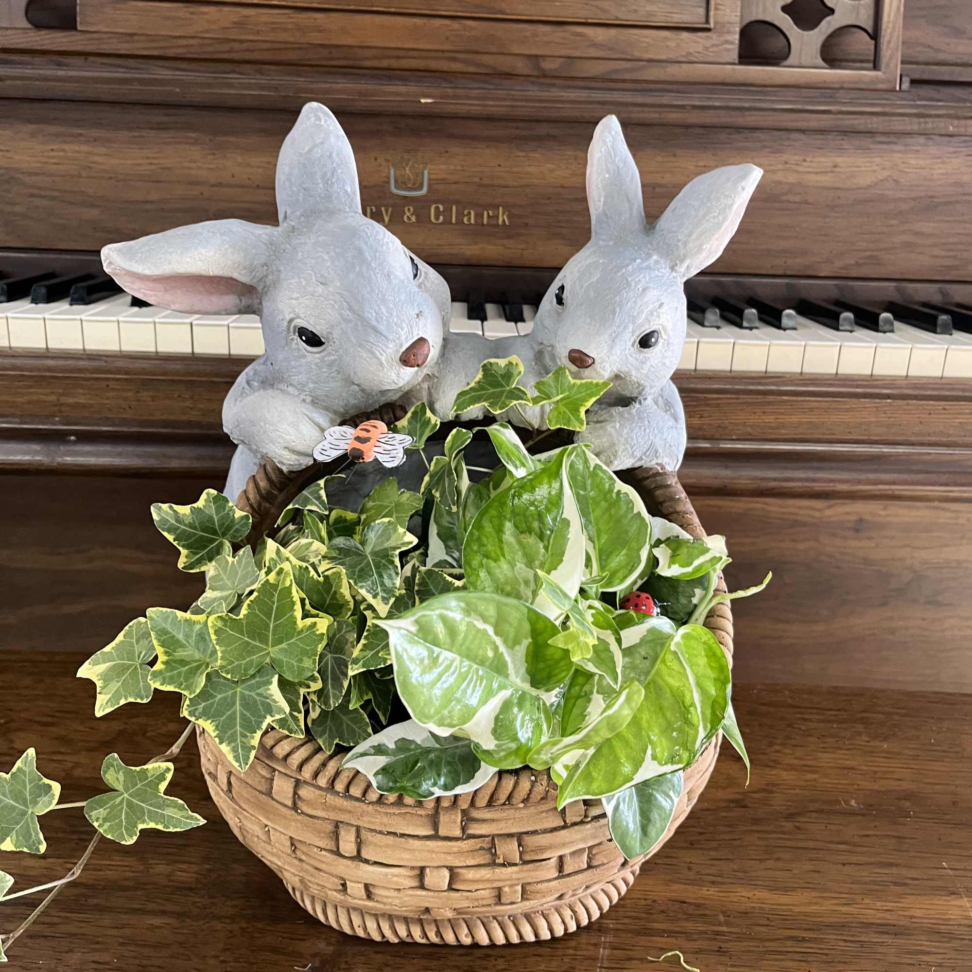 A whimsical rabbit-shaped planter overflowing with variegated greenery makes this potted plant