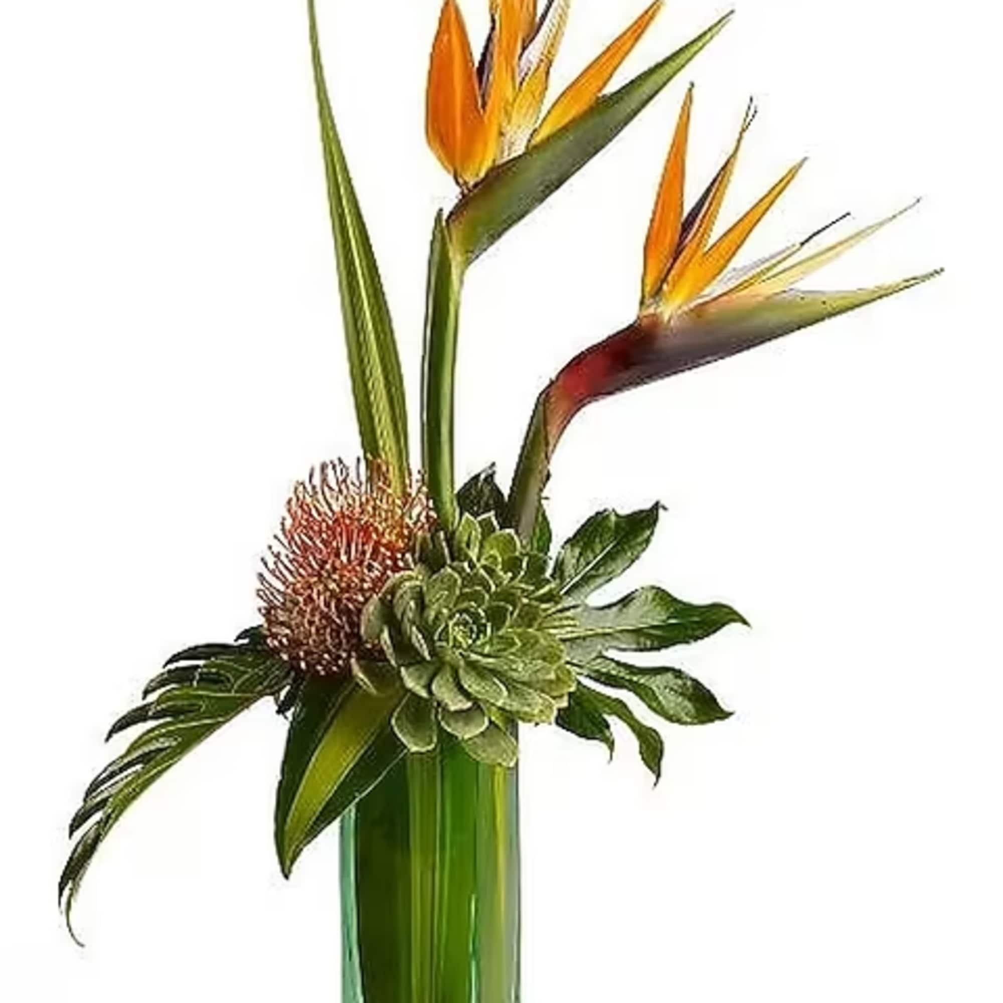 This spectacular bouquet is a visual adventure, combining the excitement of Birds