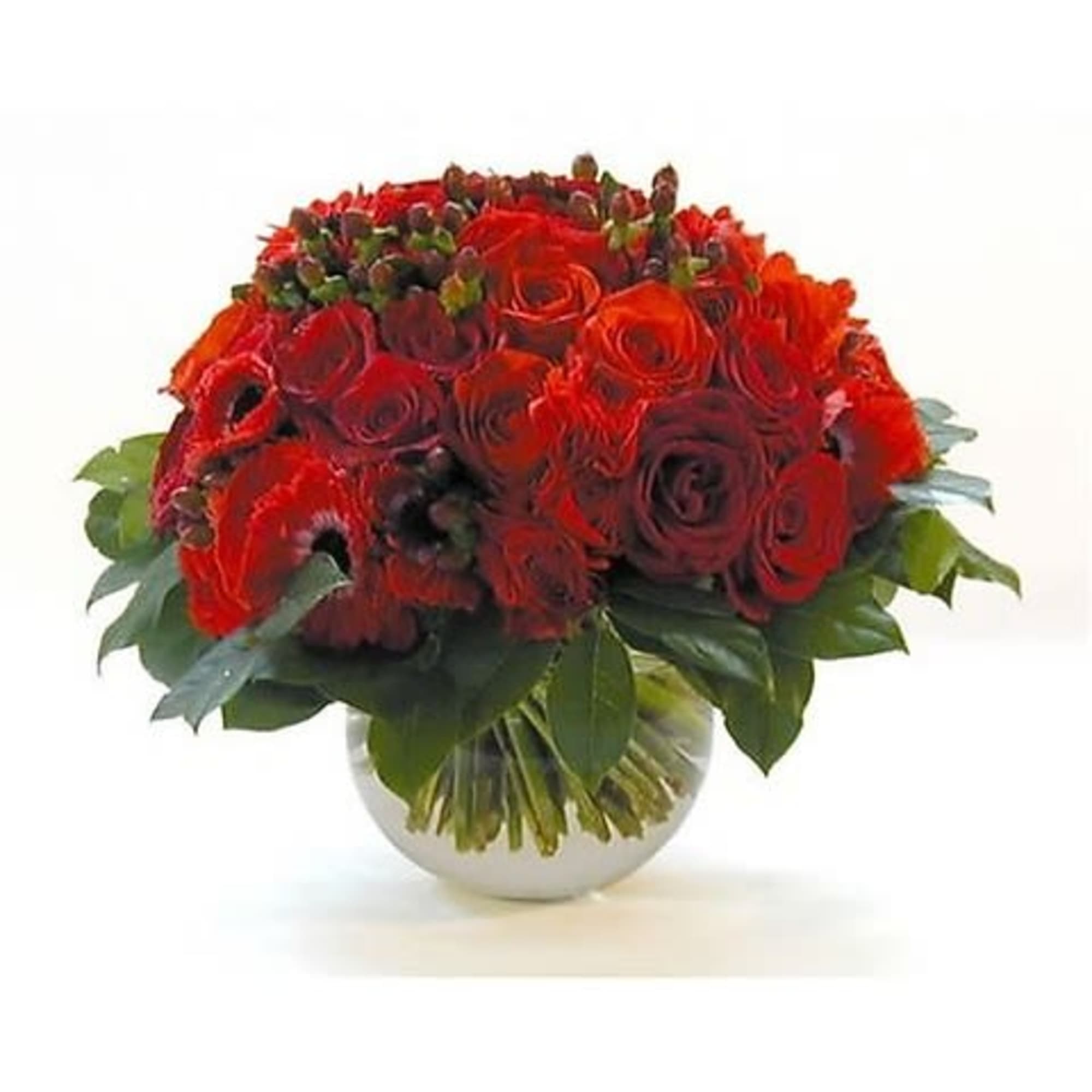 A beautiful array of red black magic roses in a bubble bowl