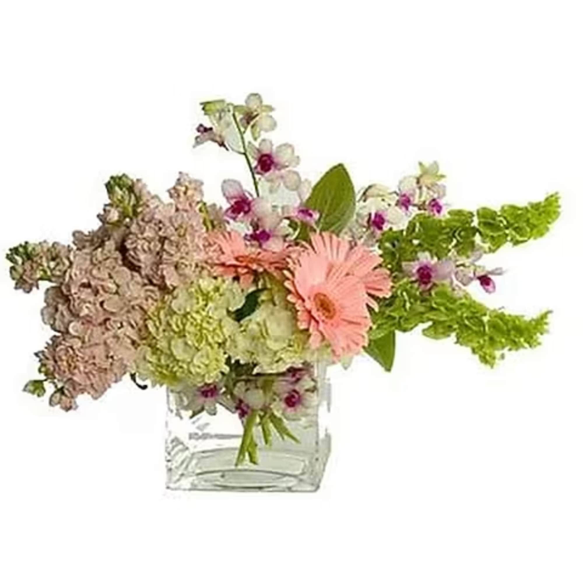 This lush contemporary arrangement designed in a cube vase is composed of