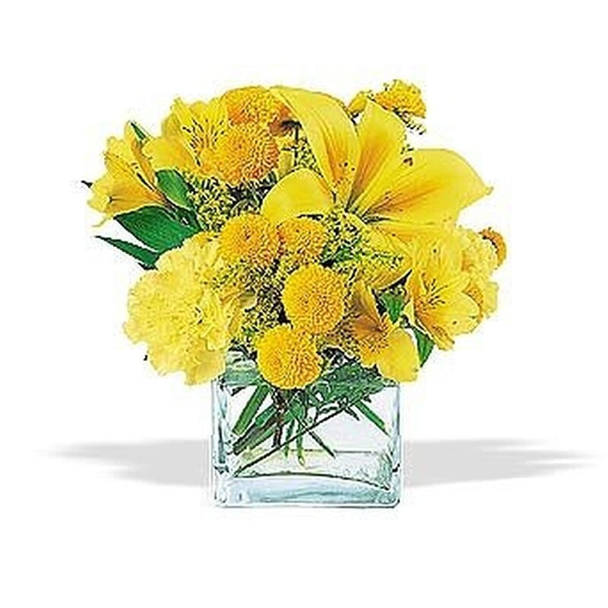 Compact arrangement of yellow lilies, carnations, and button mums in a clear glass cube vase