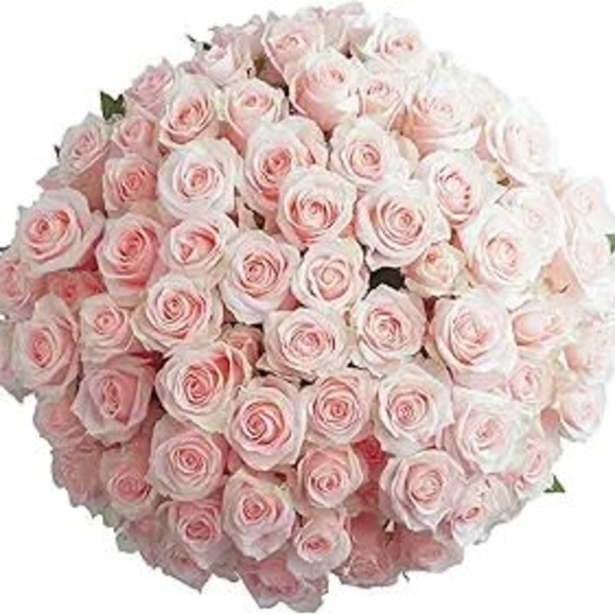 This will be a florist choice of color on a simple beautiful