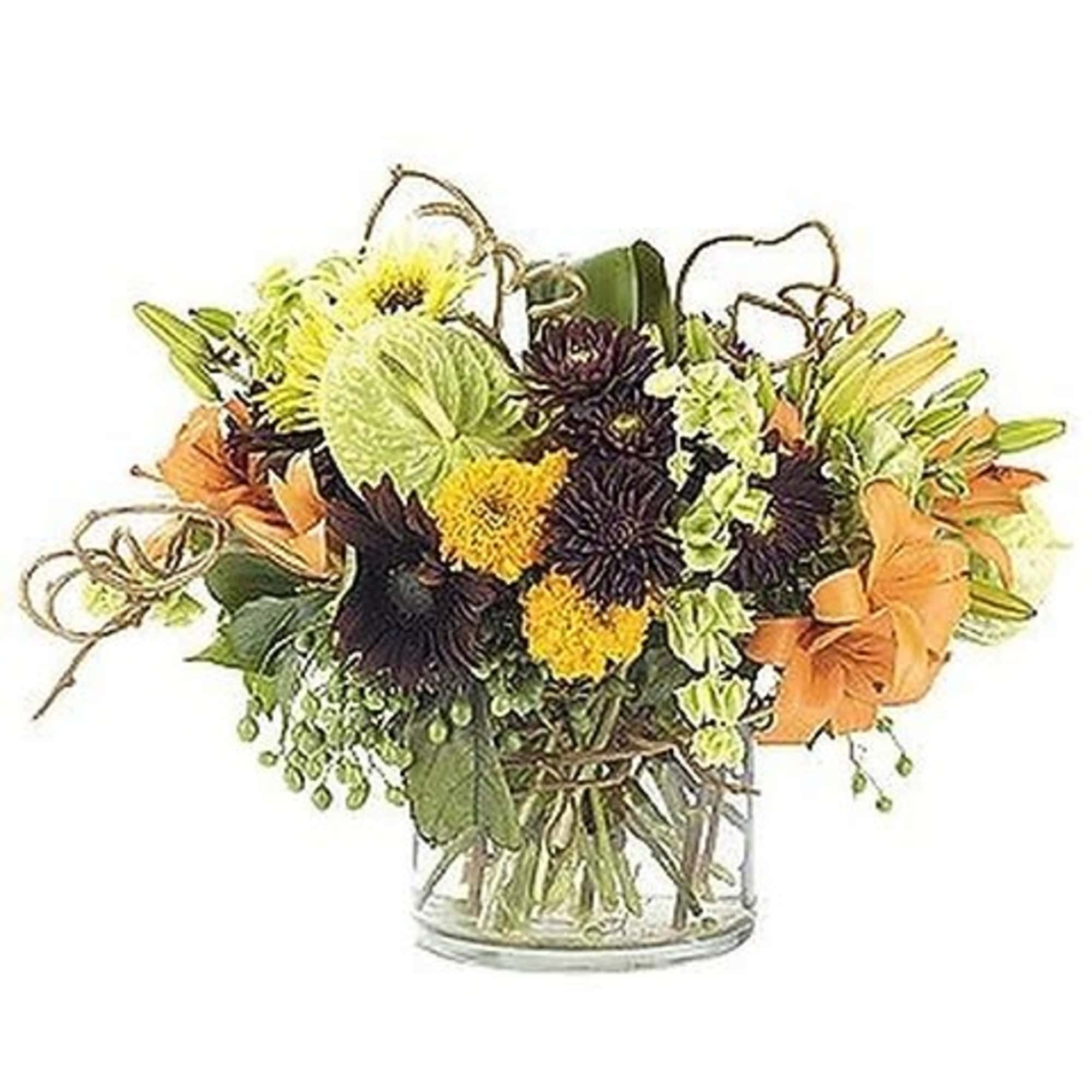 The Tropics have arrived with this gorgeous exotic arrangement in a contemporary