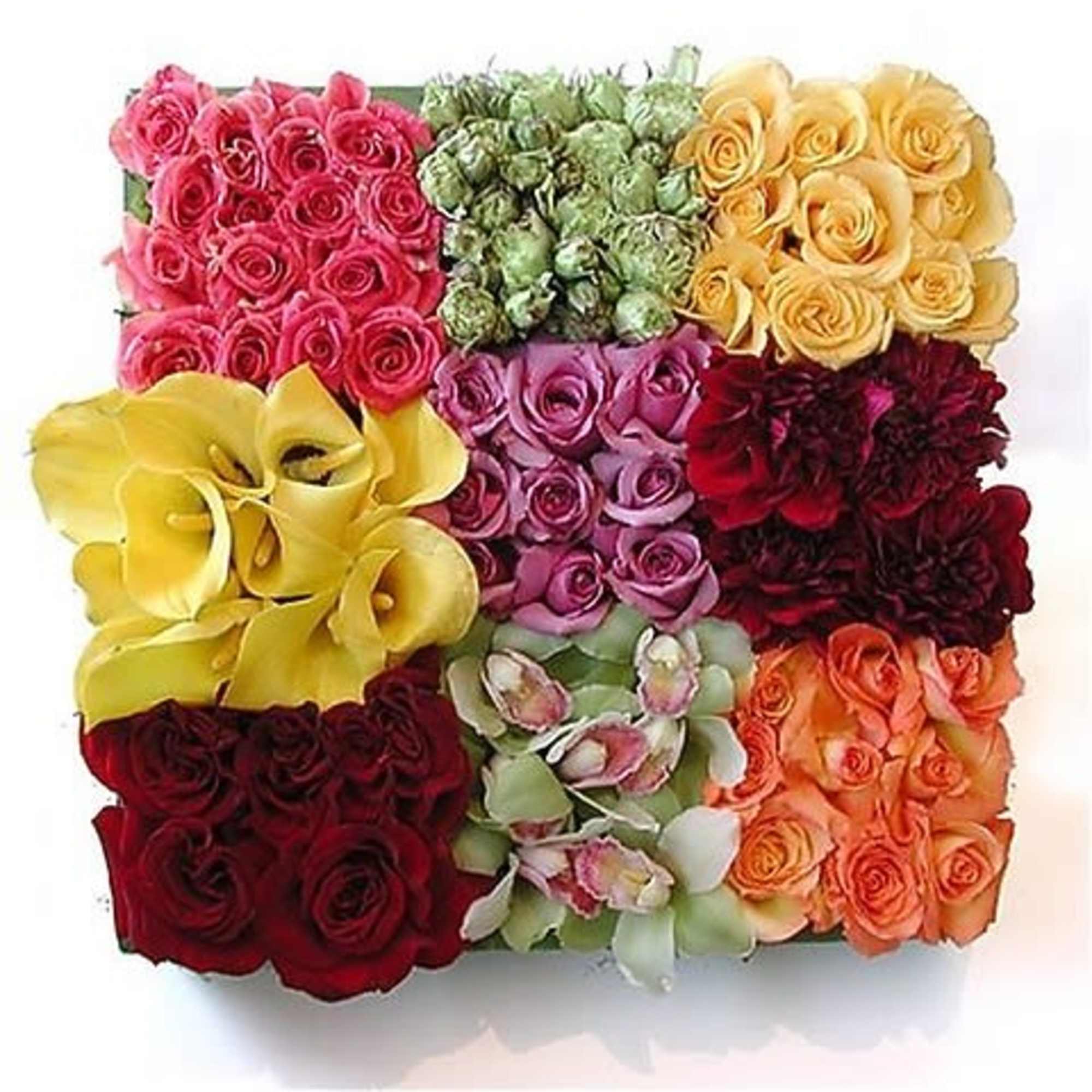 A combination of holland and tropical flowers clustered in a box is