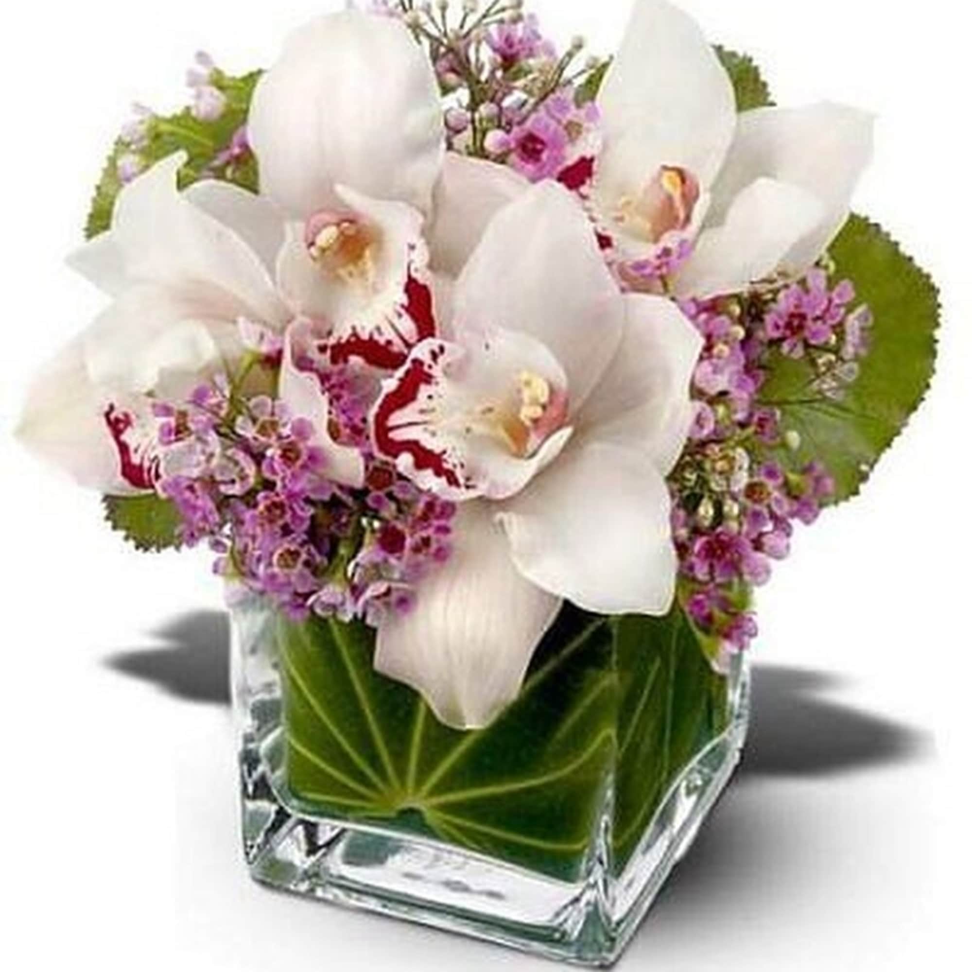 Short arrangement of white cymbidium orchids and pink blooms in a square glass vase lined with green leaves