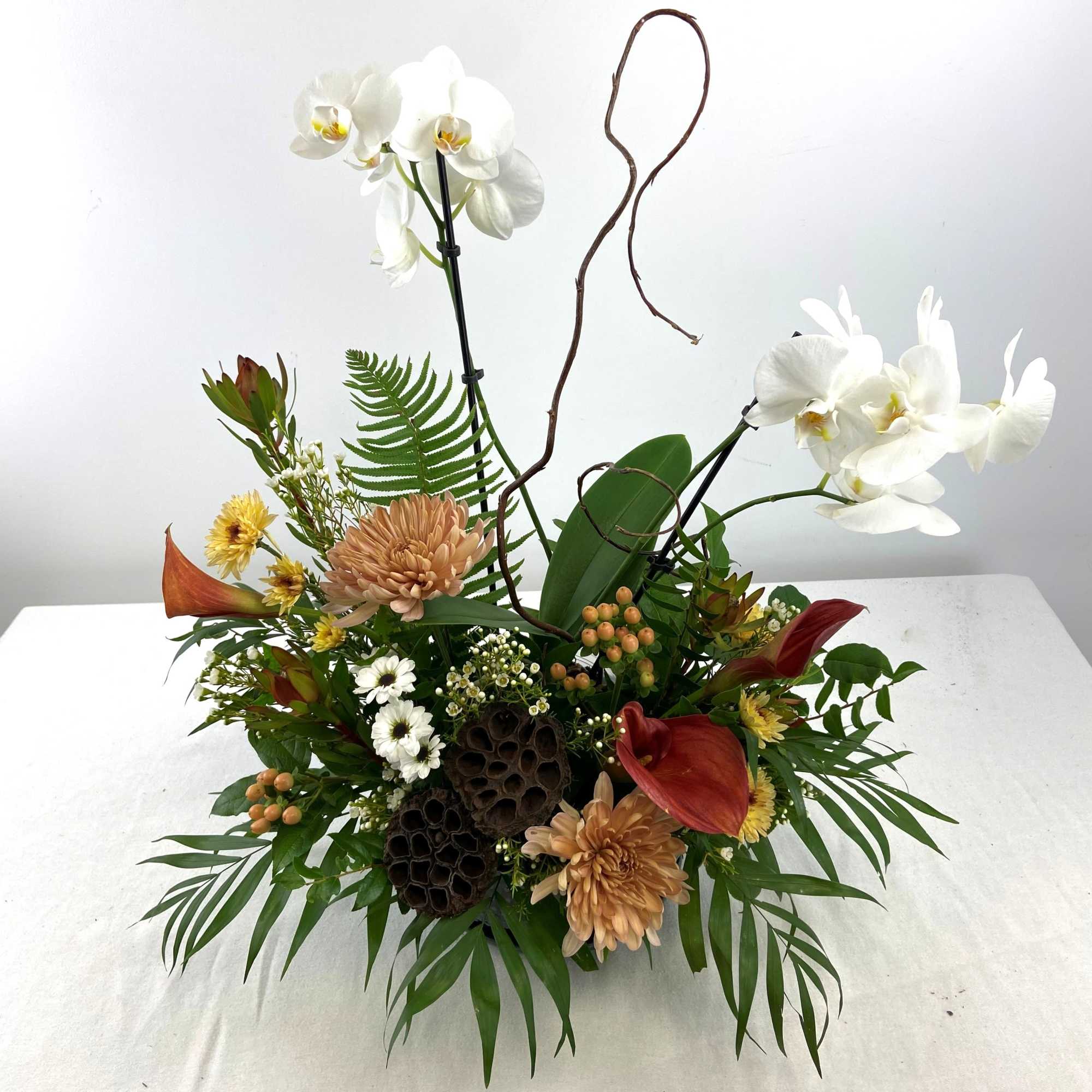 Phalaenopsis orchid with peach, red and white blooms in a low ceramic