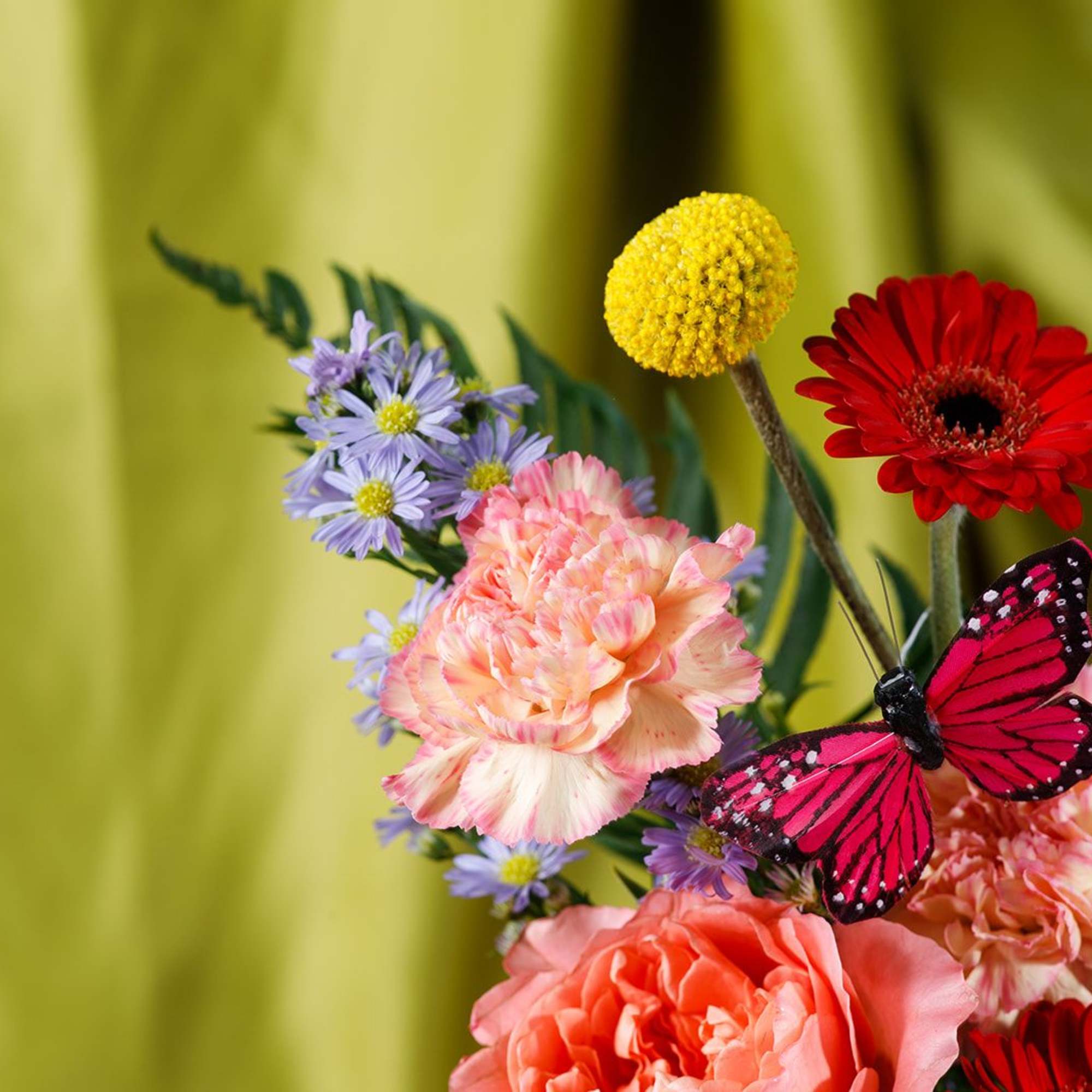 Bursting with cheerful color and a playful butterfly accent, Ms. Honeybee special