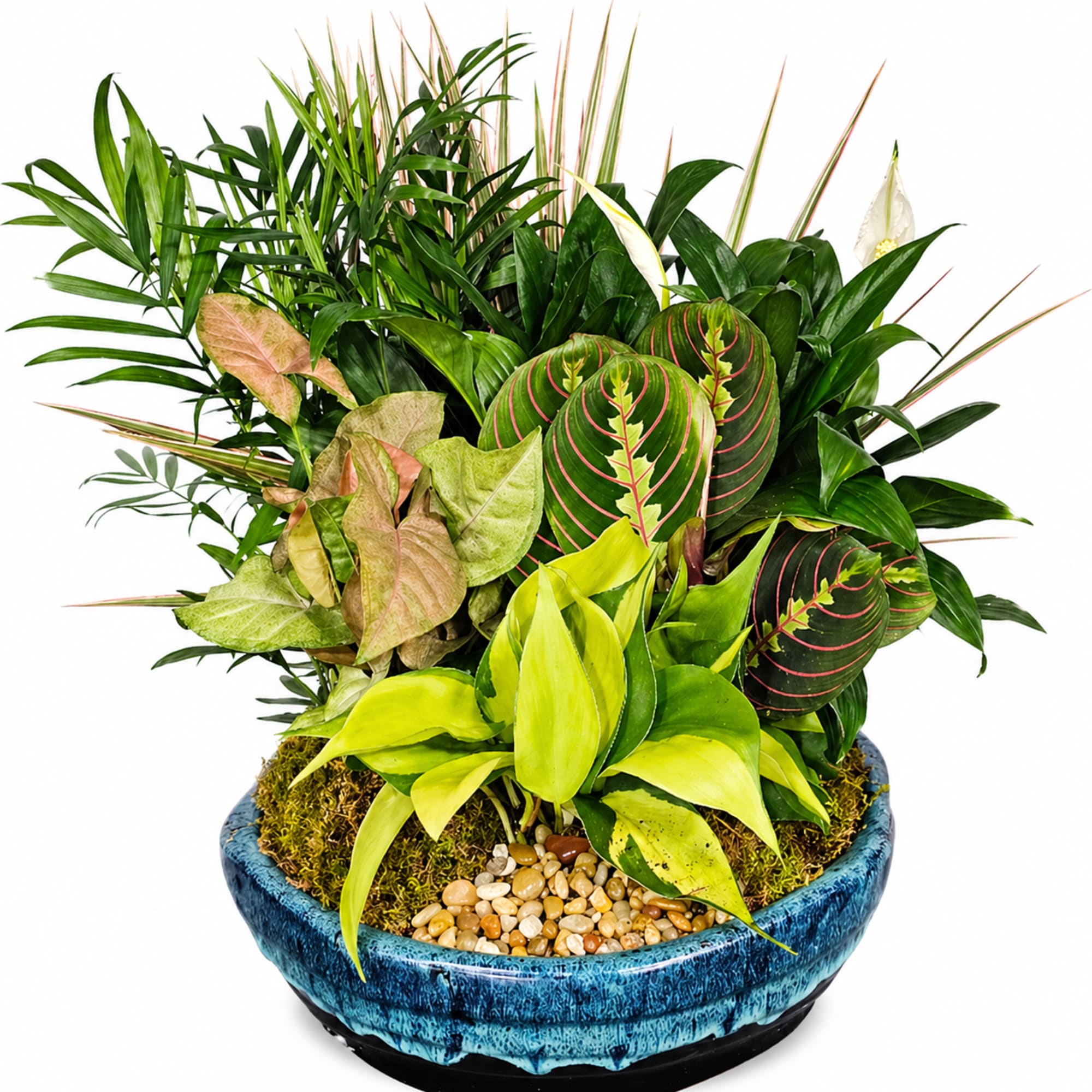 Bring natural texture and modern greenery into any space with this beautifully