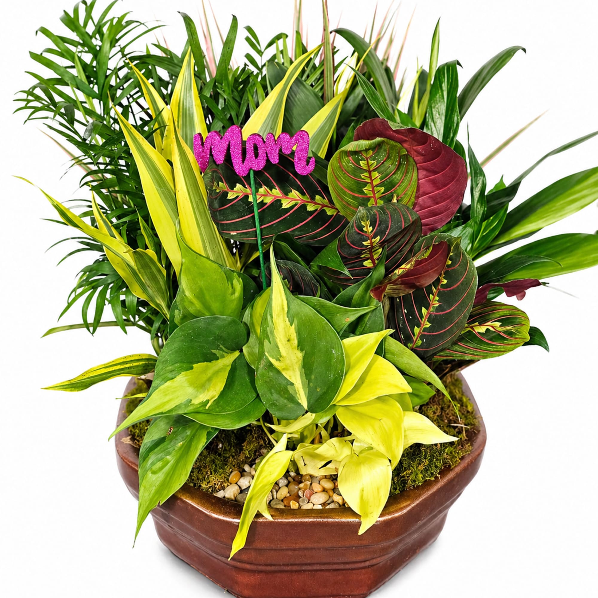 Bring natural texture and modern greenery into any space with this beautifully