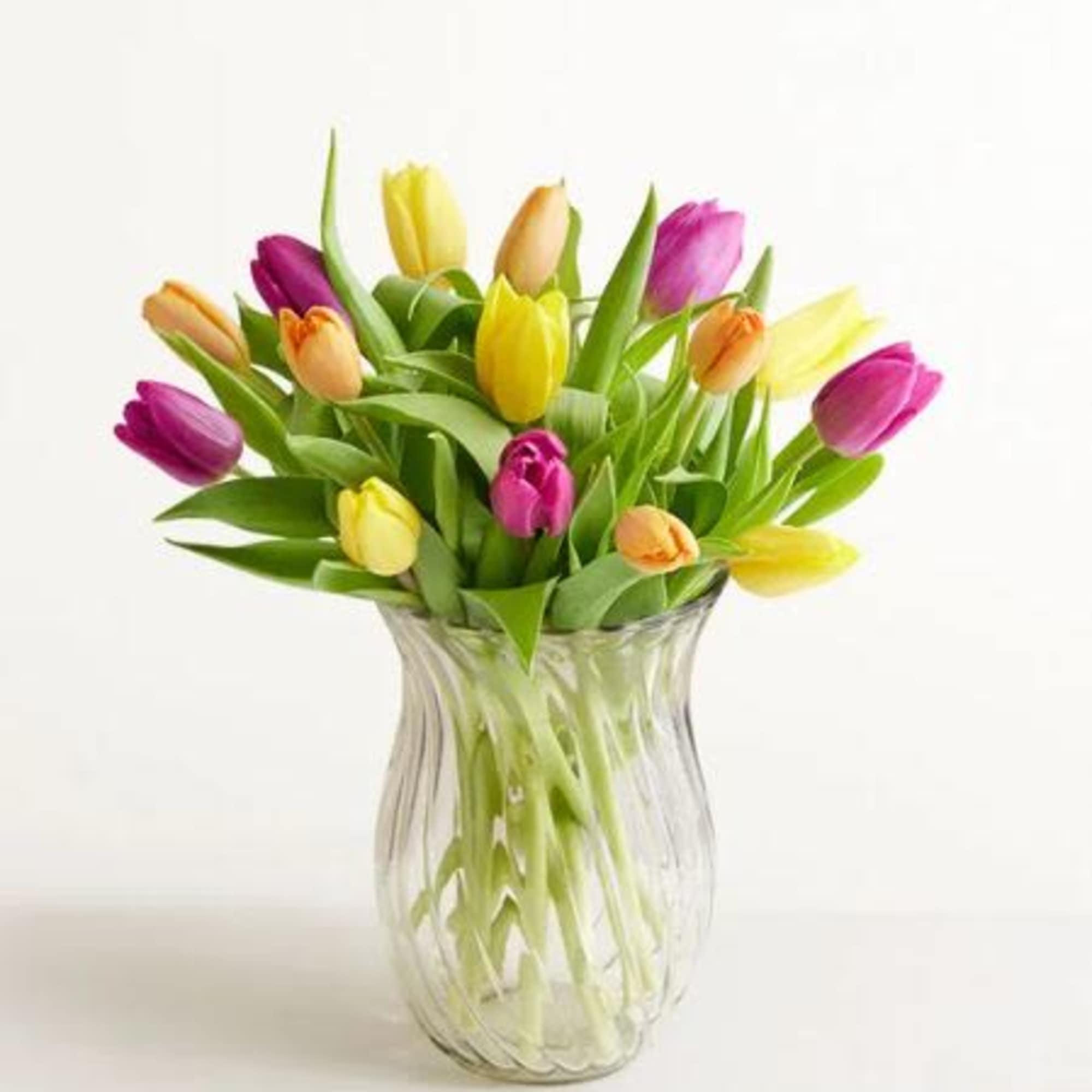  Pet Friendly?
No Tulips contain allergenic lactones which are toxic to household