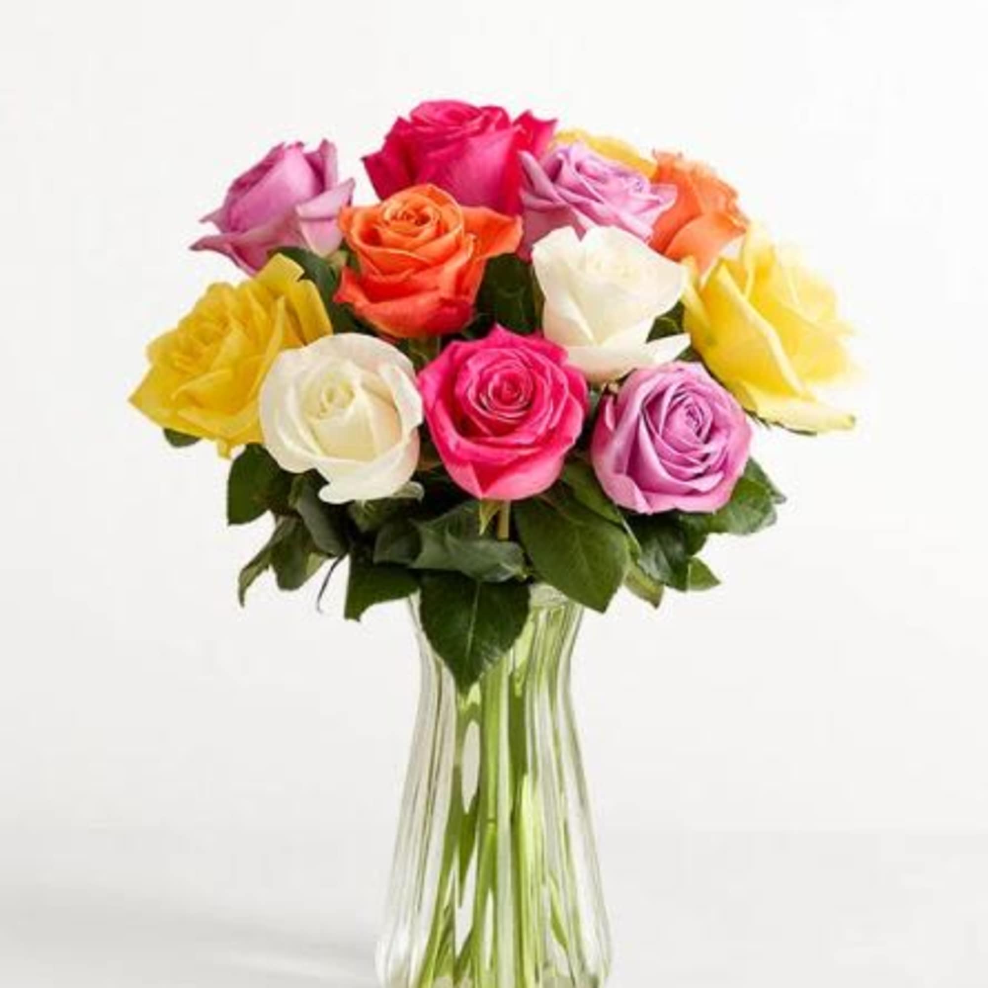 Pet Friendly?
Yes Roses are non-toxic to cats and dogs according to