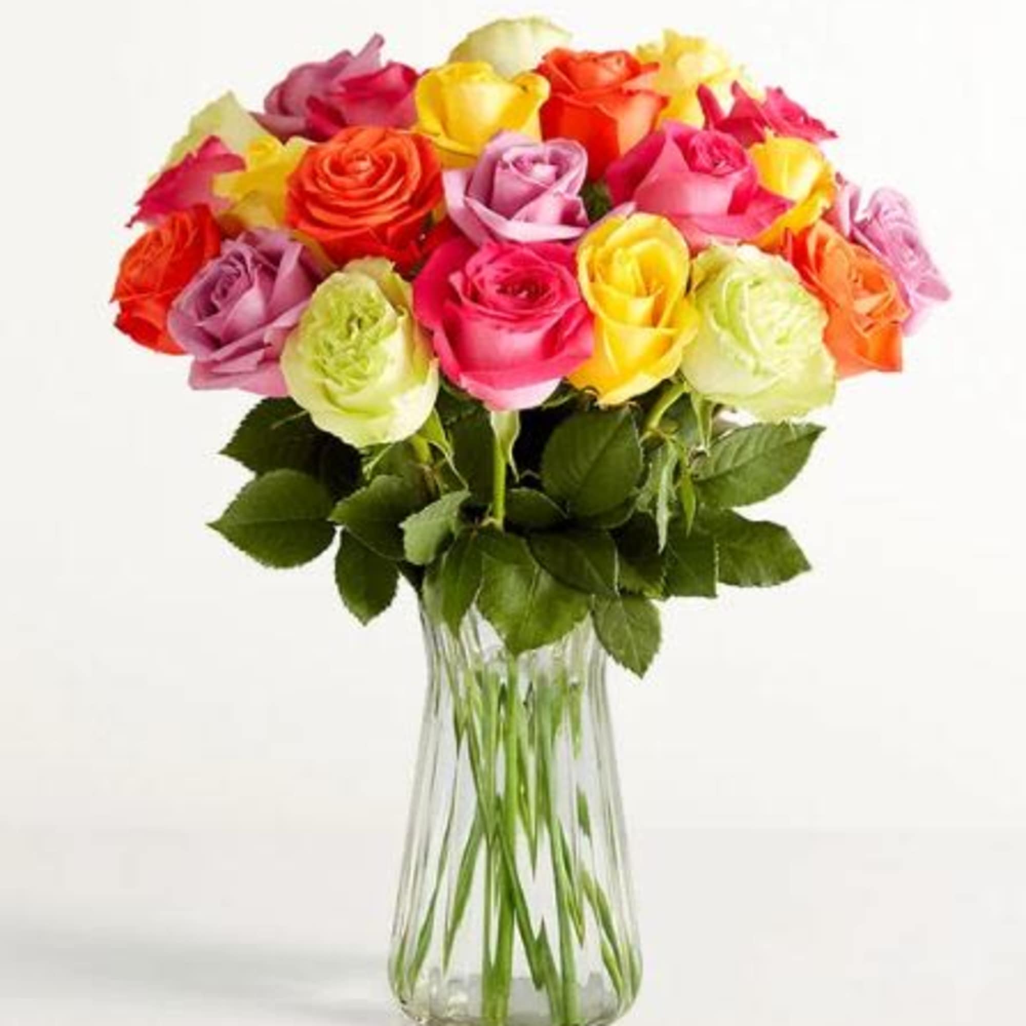  Pet Friendly?
Yes Roses are non-toxic to cats and dogs according to