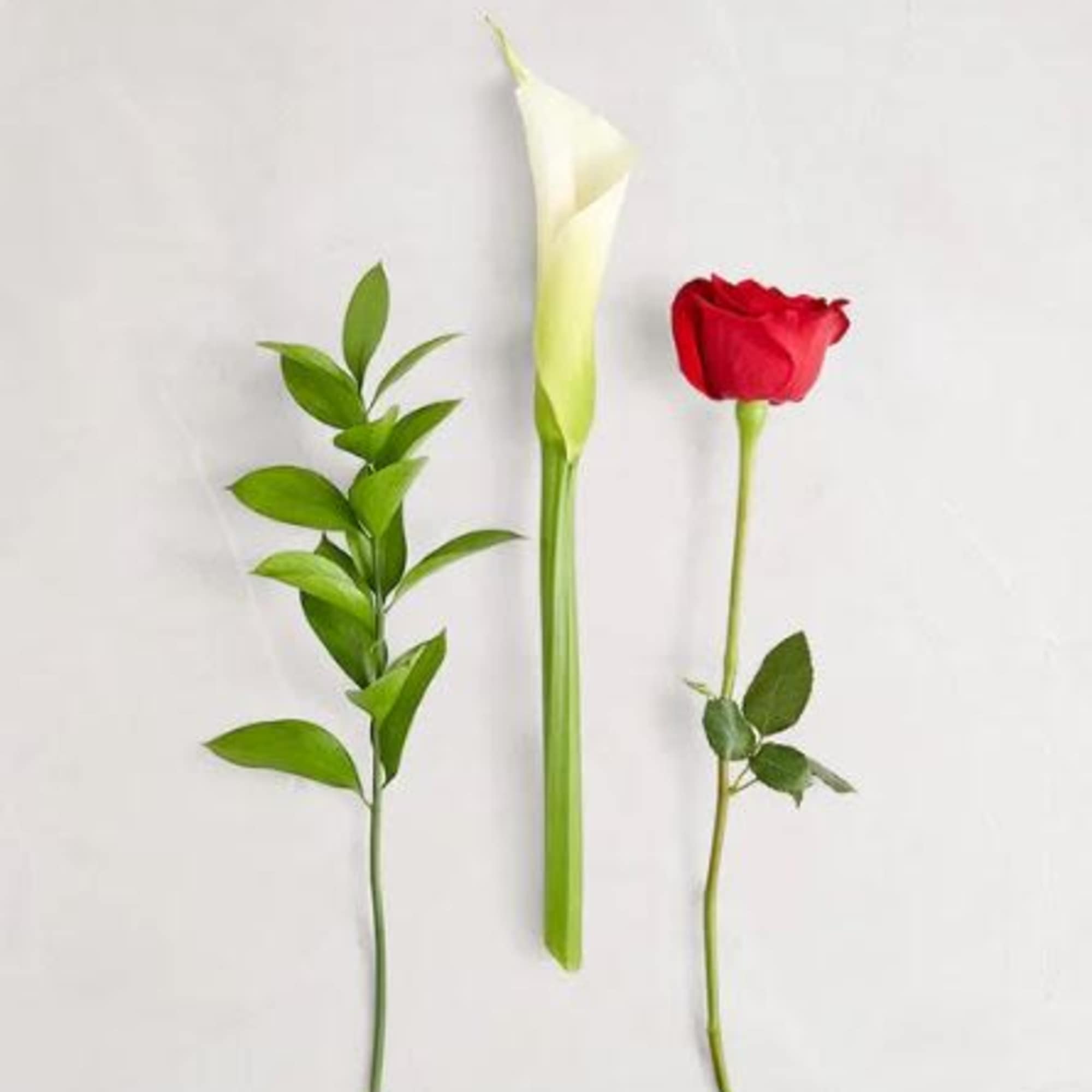  Pet Friendly?
No This arrangement contains Calla Lilies, which are toxic to