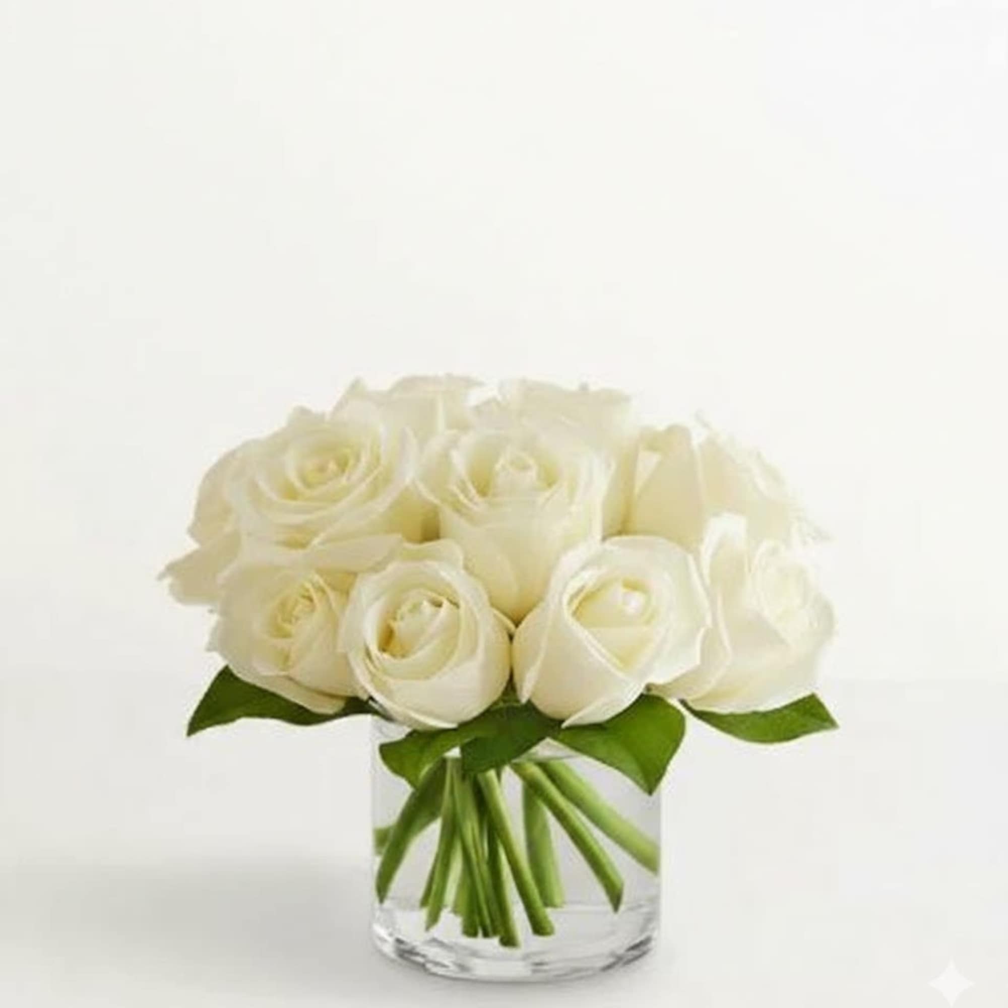  Pet Friendly?
YES While roses themselves are non-toxic to household pets, the