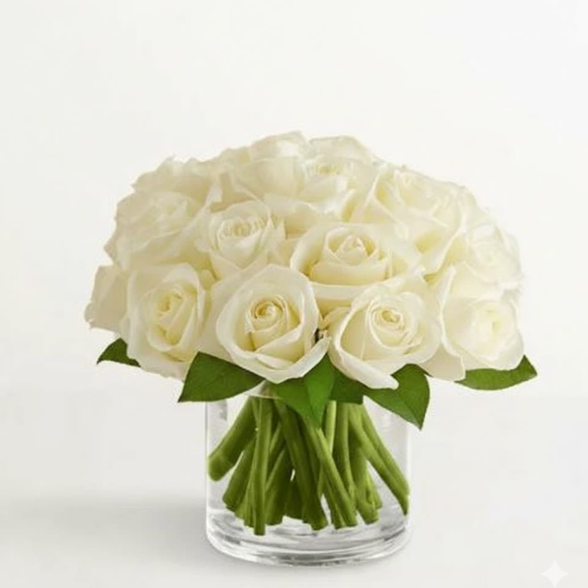  Pet Friendly?
YES While roses themselves are non-toxic to household pets, the
