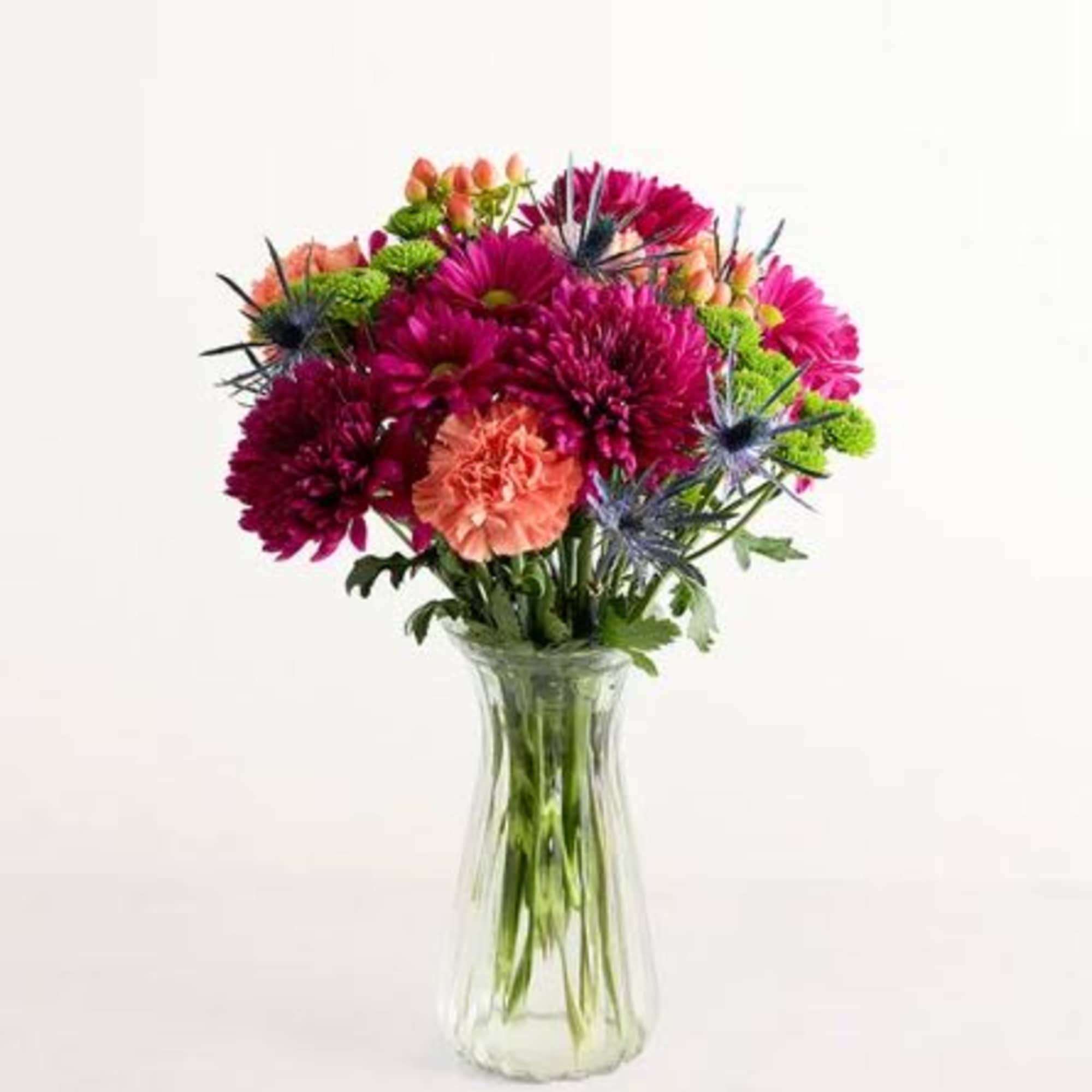  Pet Friendly?
No Use caution as this arrangement contains Chrysanthemums, which are