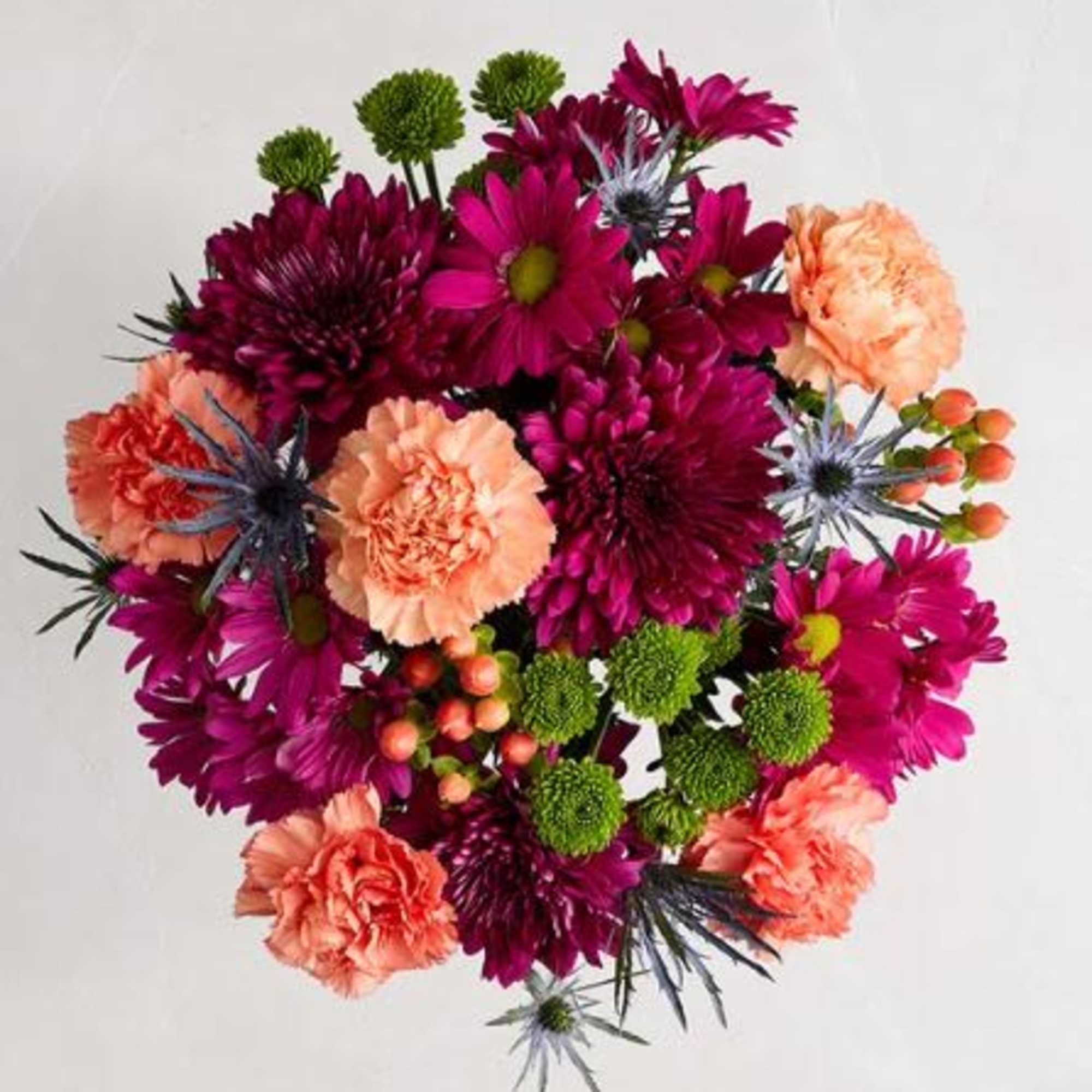  Pet Friendly?
No Use caution as this arrangement contains Chrysanthemums, which are