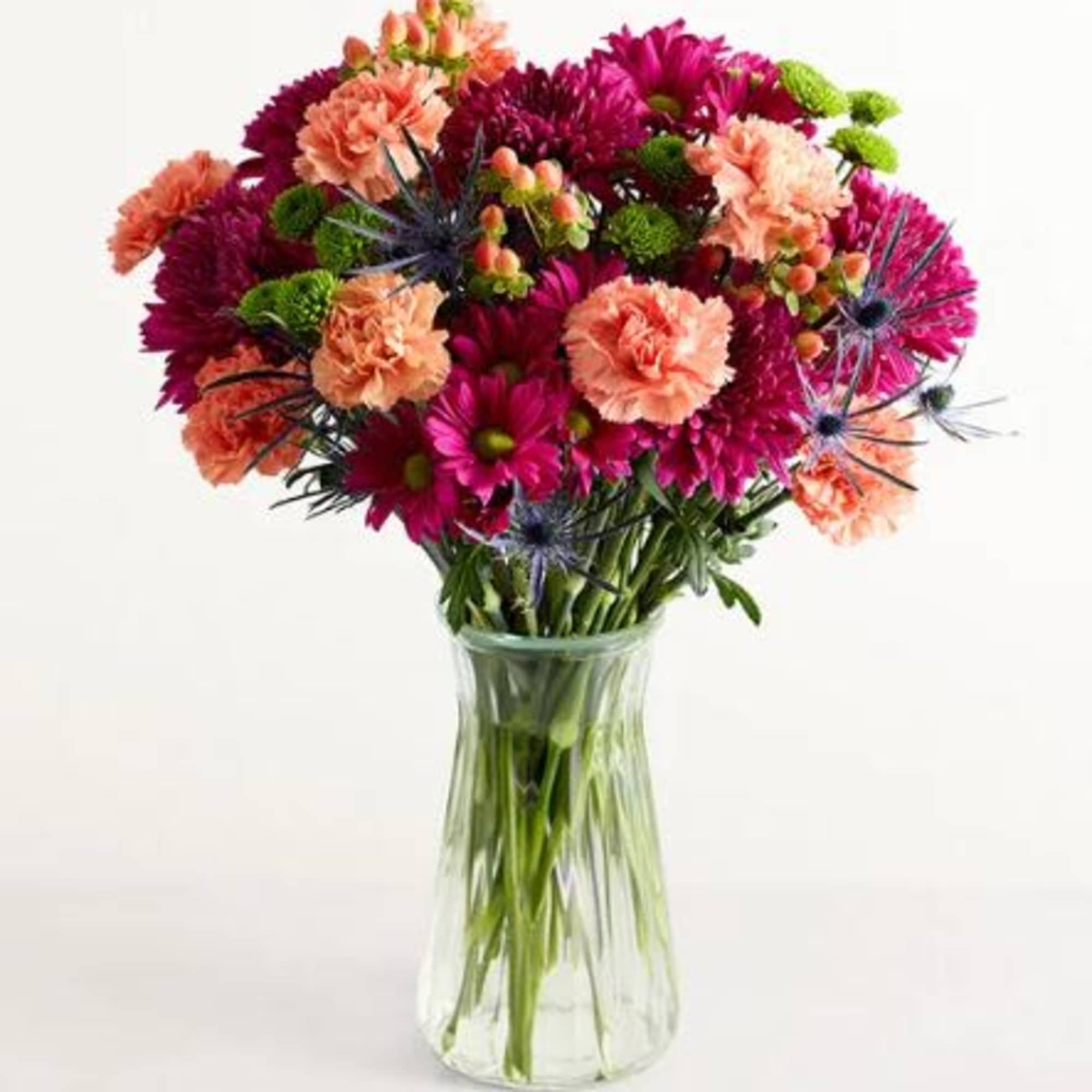  Pet Friendly?
No Use caution as this arrangement contains Chrysanthemums, which are