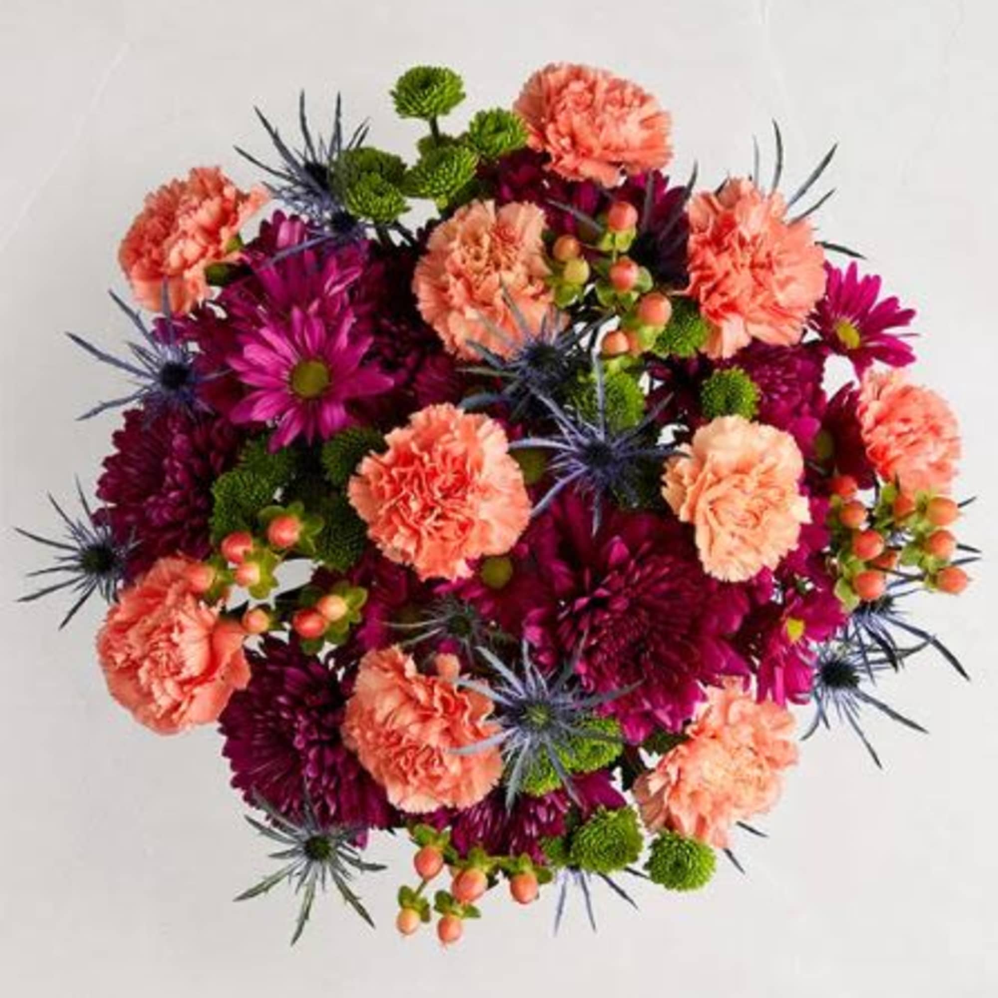  Pet Friendly?
No Use caution as this arrangement contains Chrysanthemums, which are