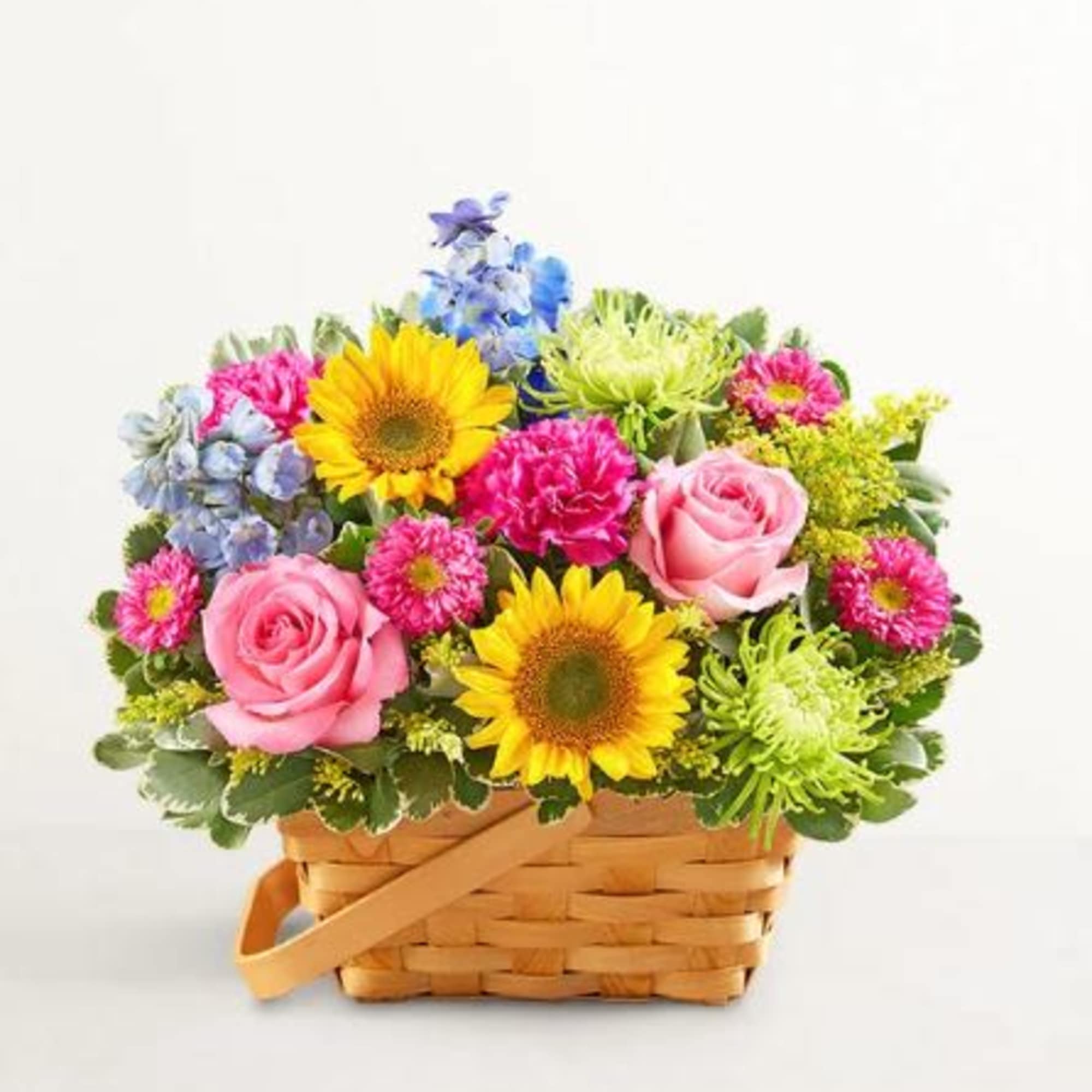  Pet Friendly?
No This arrangement contains Fuji Mums and Asters, which are
