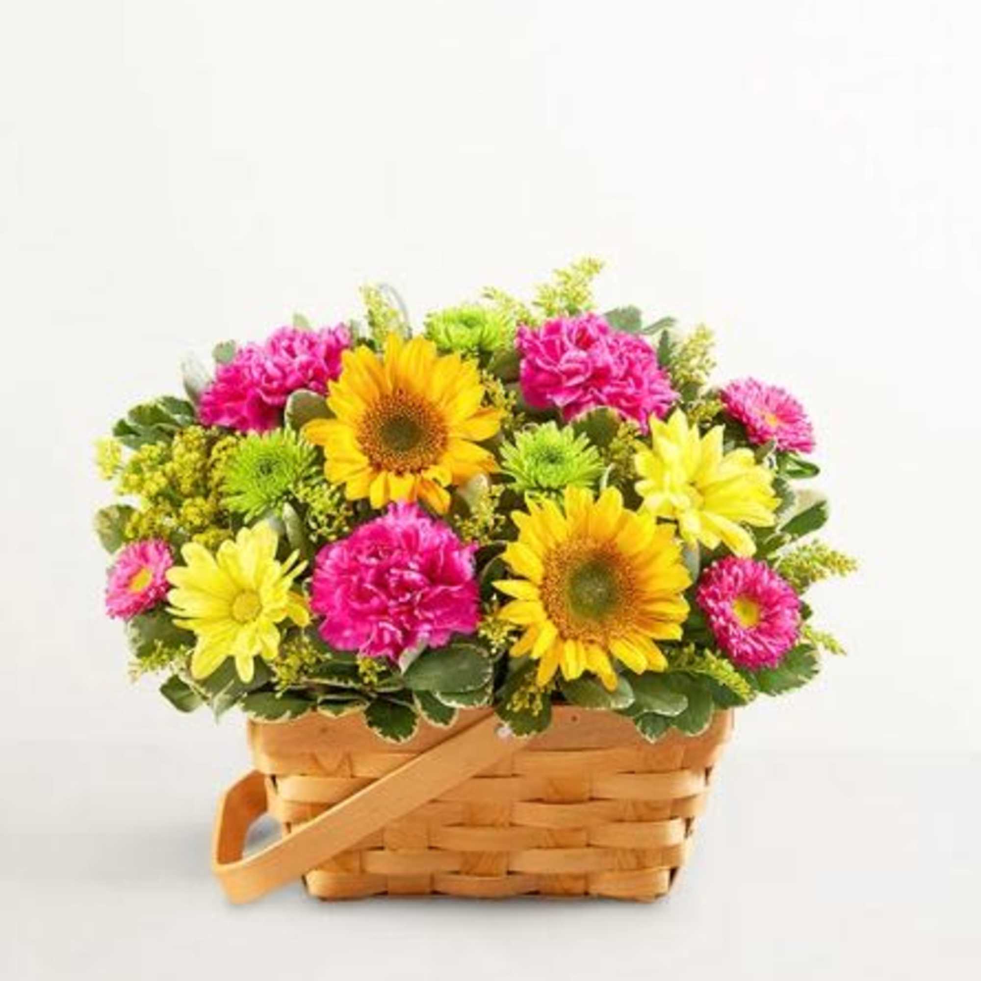  Pet Friendly?
No This arrangement contains Fuji Mums and Asters, which are
