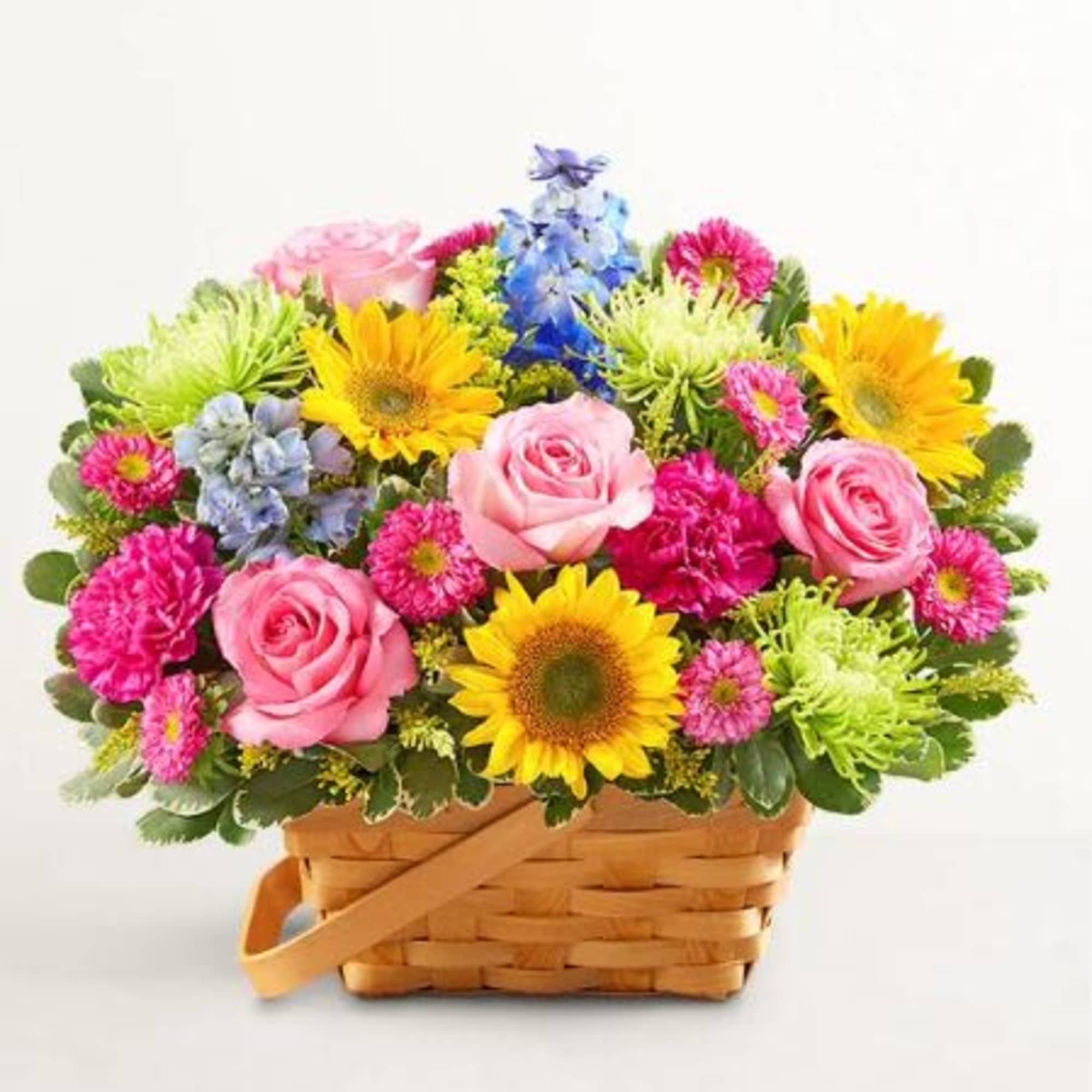  Pet Friendly?
No This arrangement contains Fuji Mums and Asters, which are