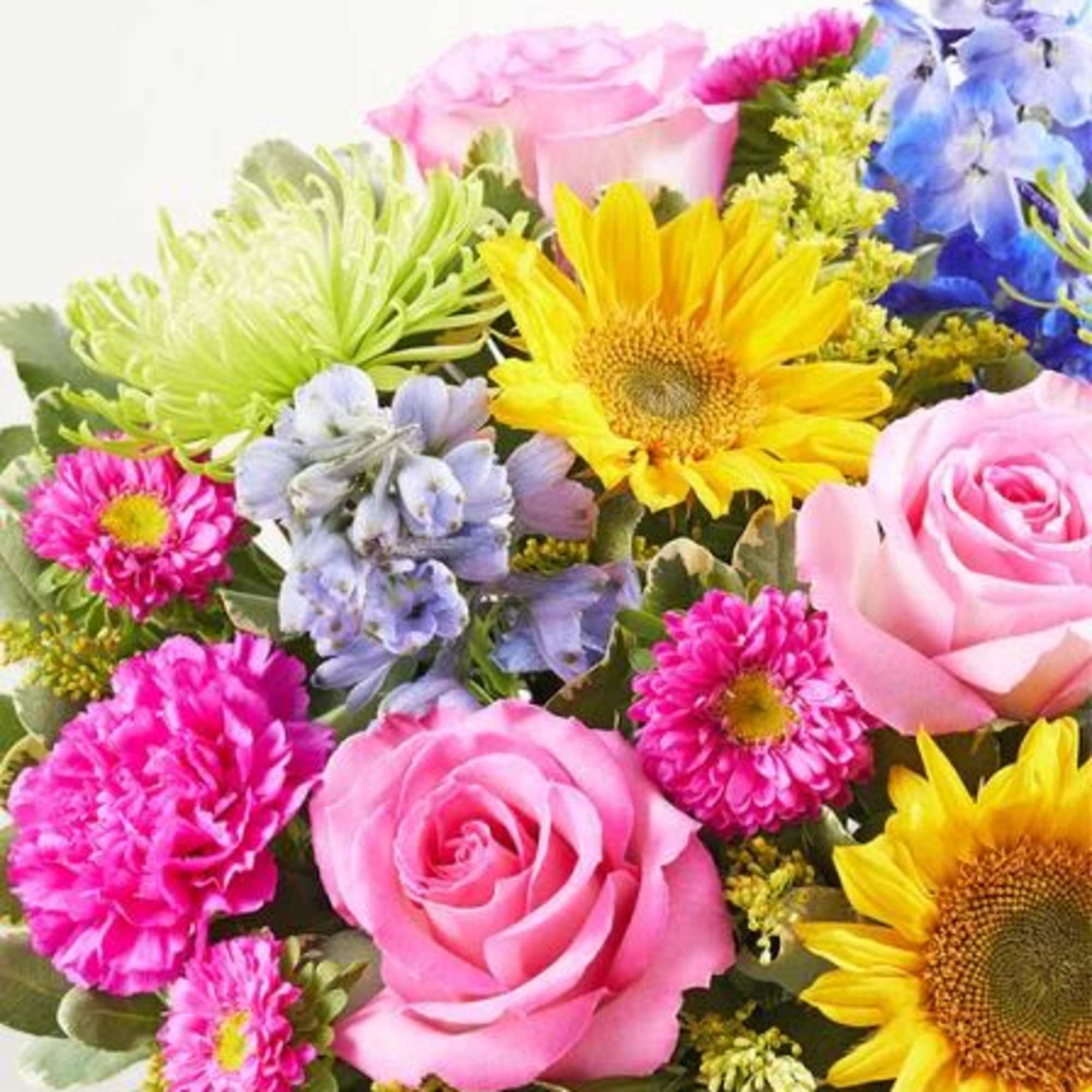  Pet Friendly?
No This arrangement contains Fuji Mums and Asters, which are