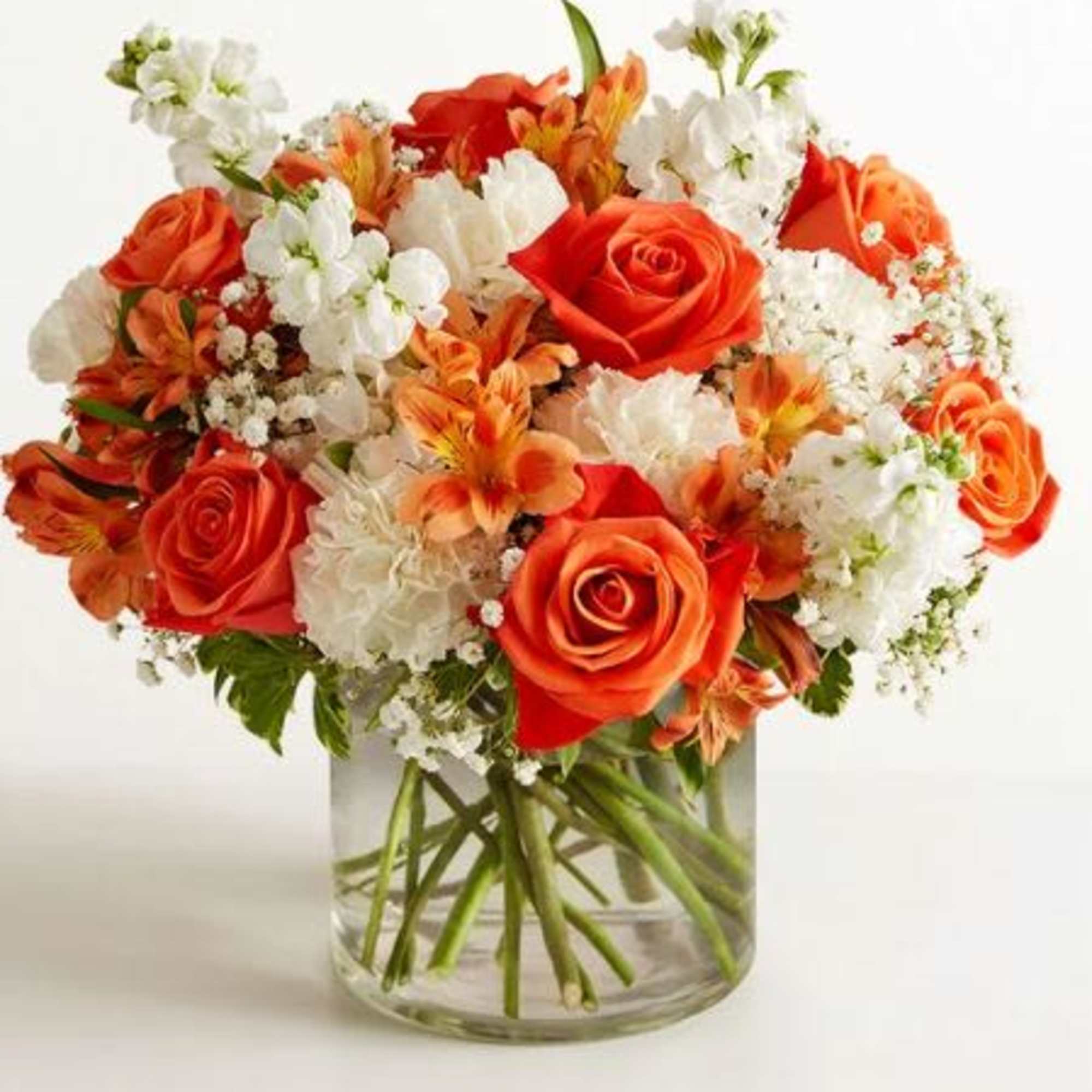  Pet Friendly?
Use Caution. Carnations may be toxic to pets (dogs and