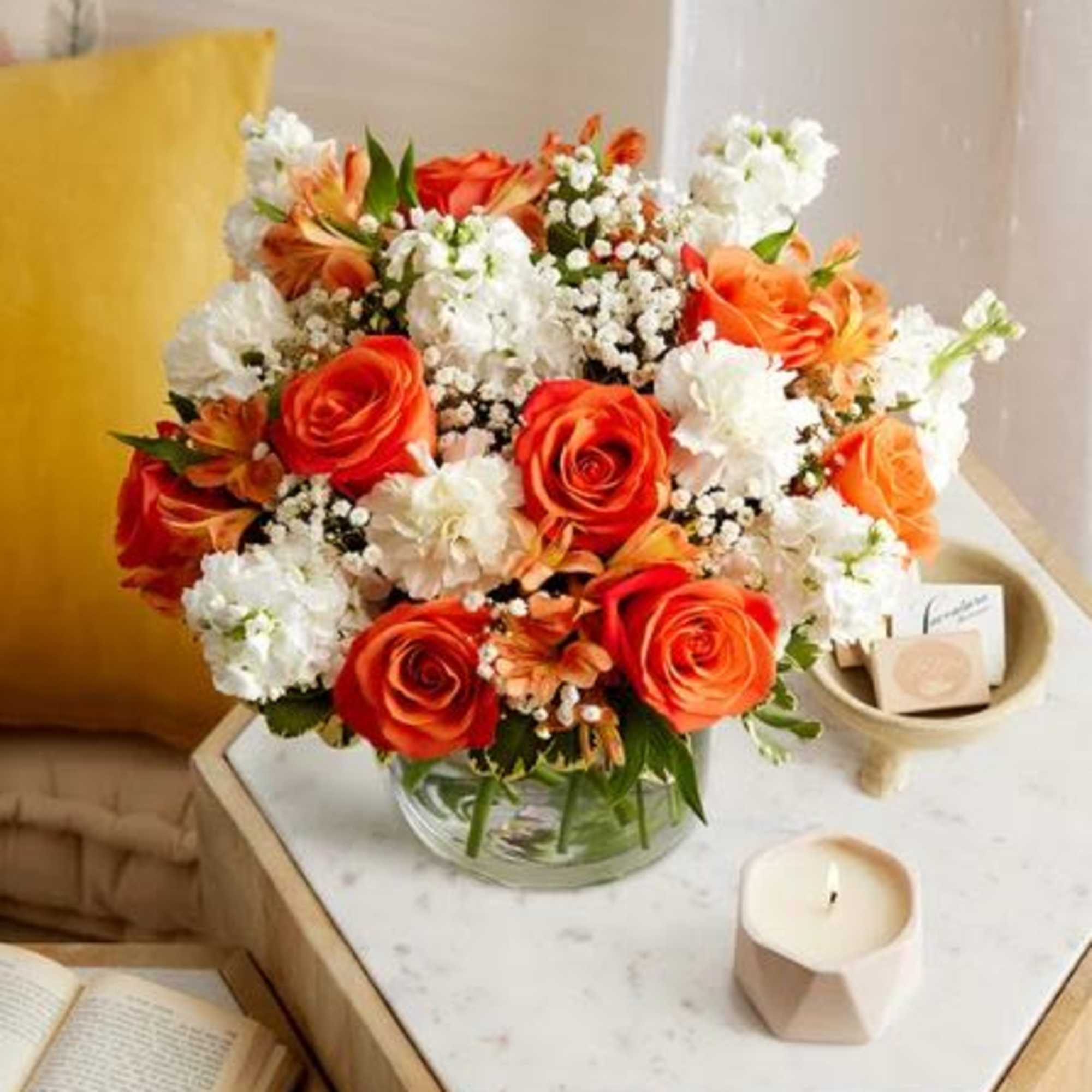  Pet Friendly?
Use Caution. Carnations may be toxic to pets (dogs and