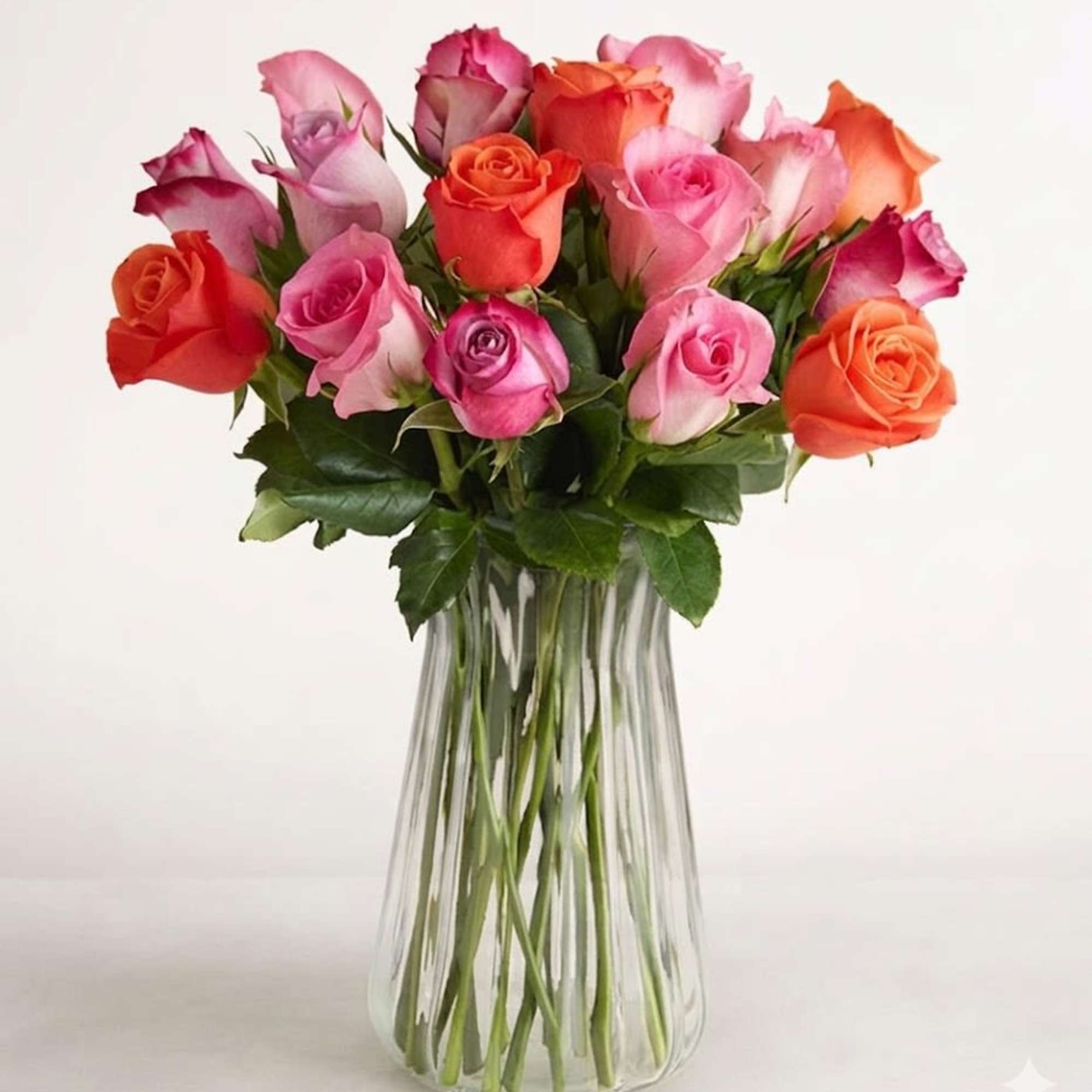  Pet Friendly?
YES While Roses themselves are non-toxic to household pets like