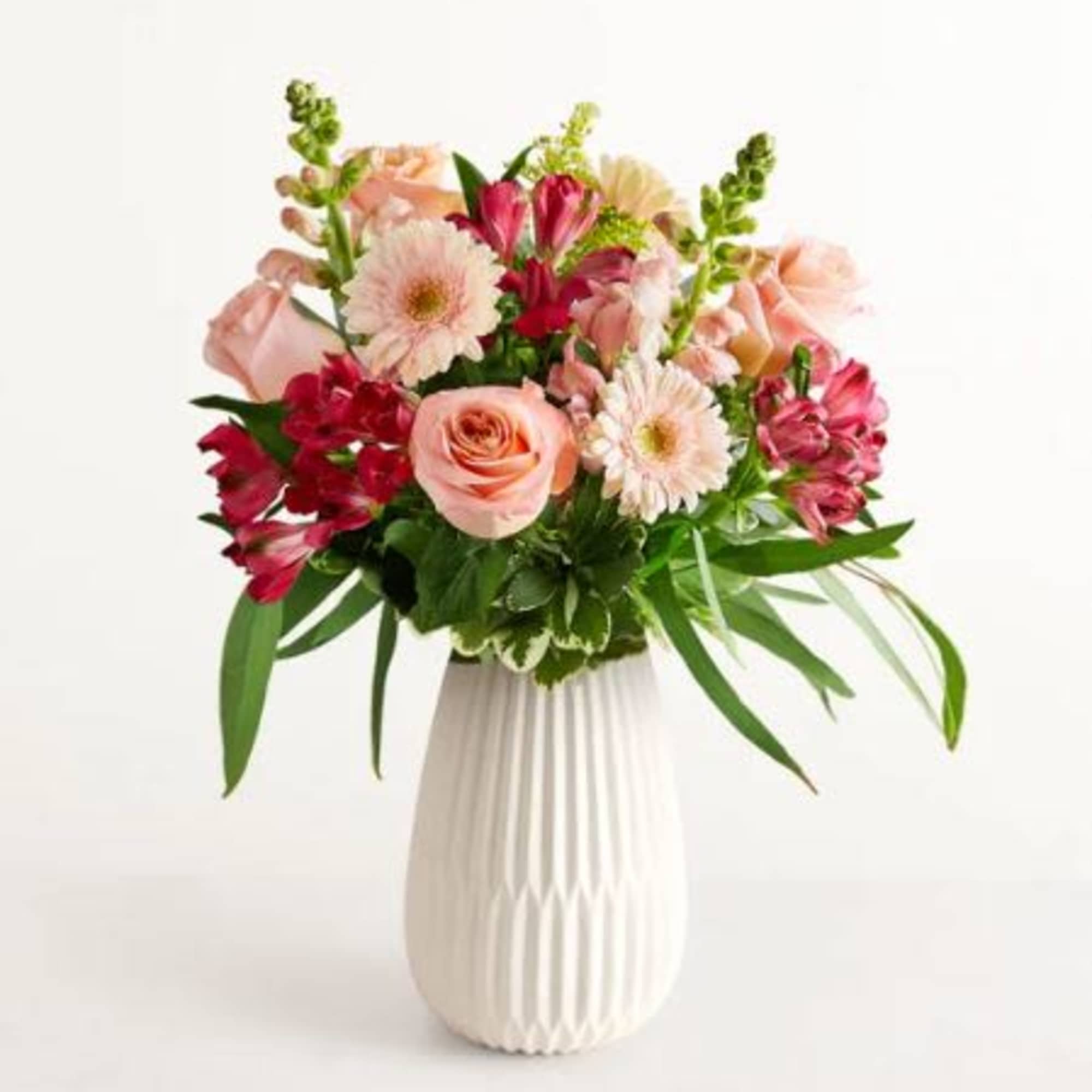 Pet Friendly?
No This bouquet contains Eucalyptus and Gerbera Daisies, which can