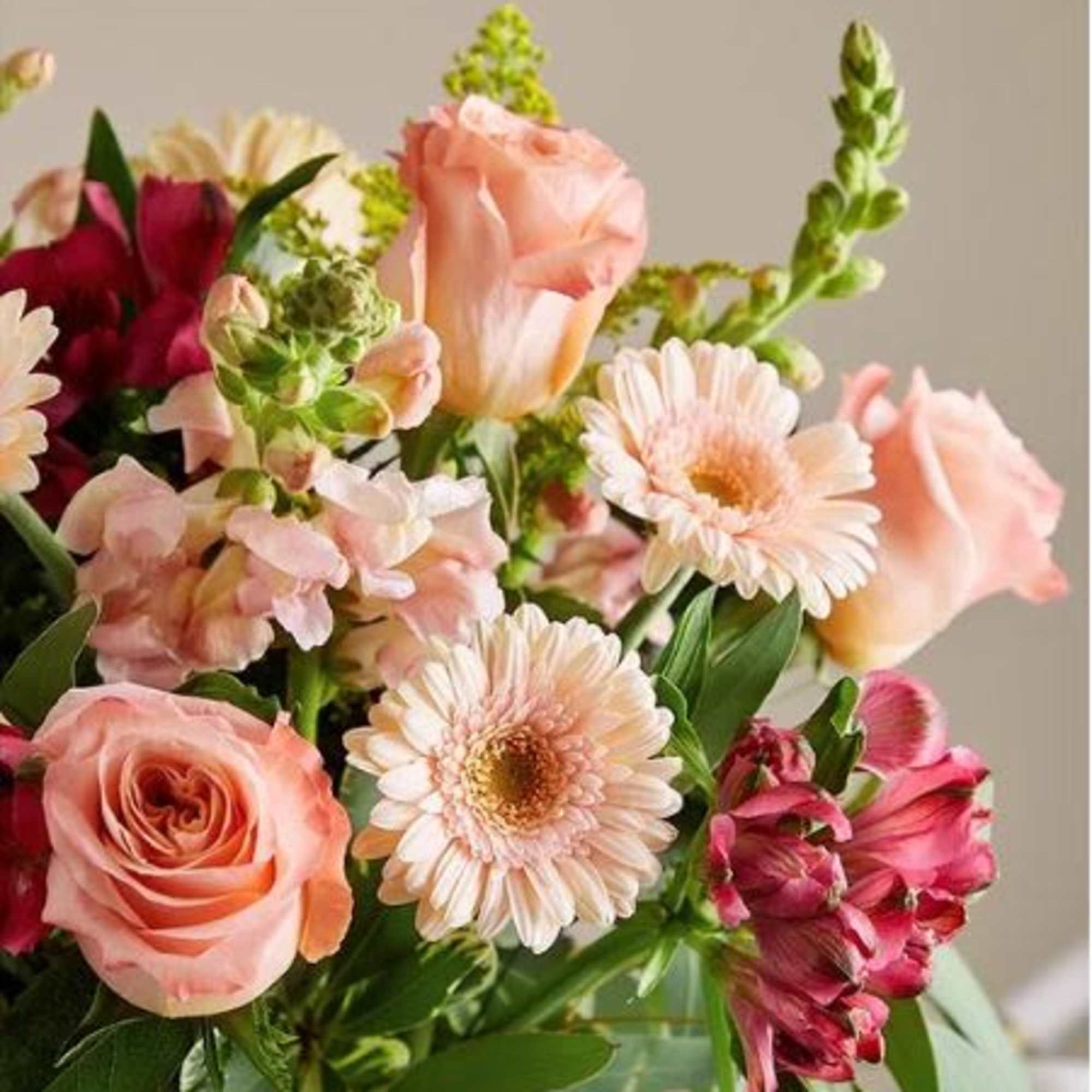  Pet Friendly?
No This bouquet contains Eucalyptus and Gerbera Daisies, which can