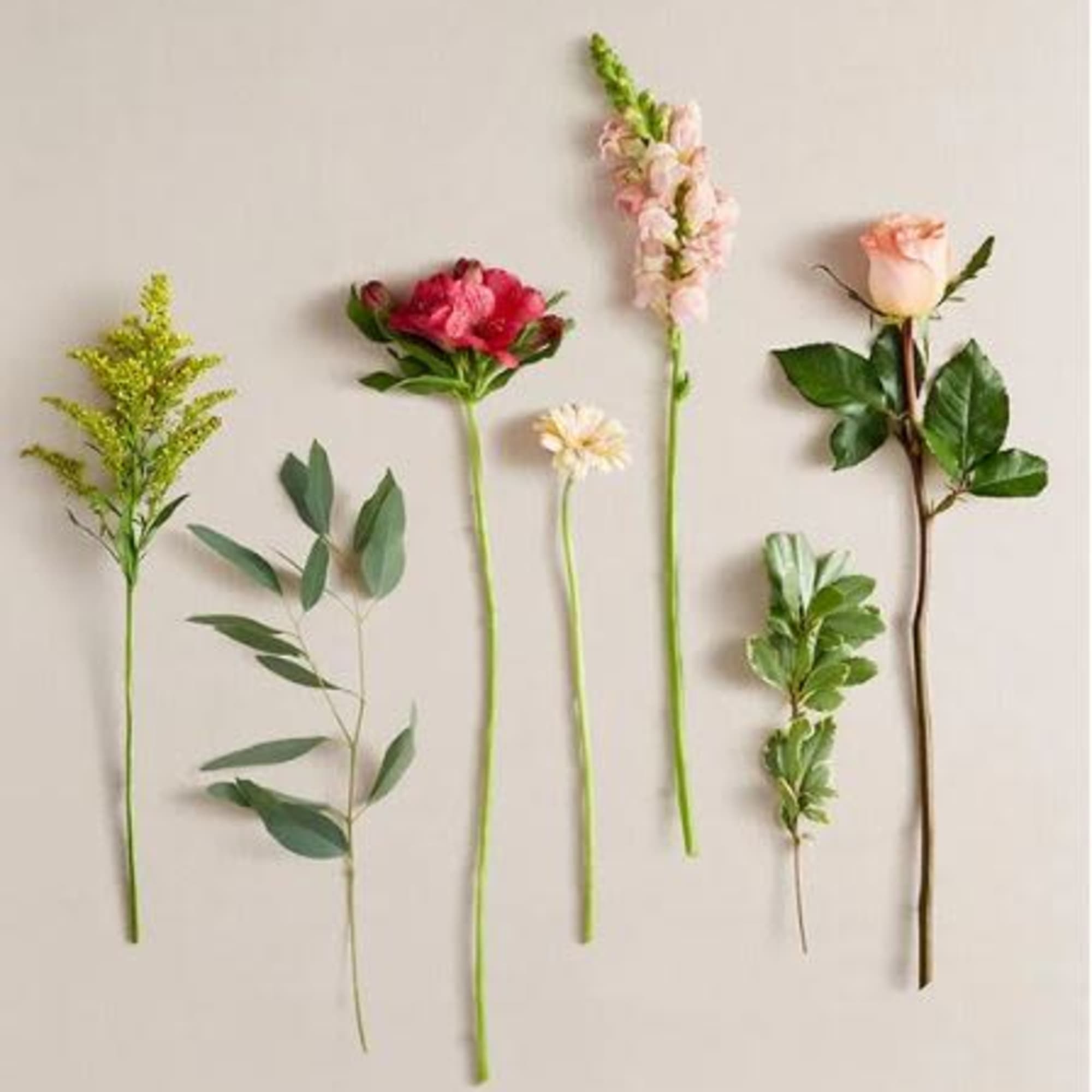  Pet Friendly?
No This bouquet contains Eucalyptus and Gerbera Daisies, which can