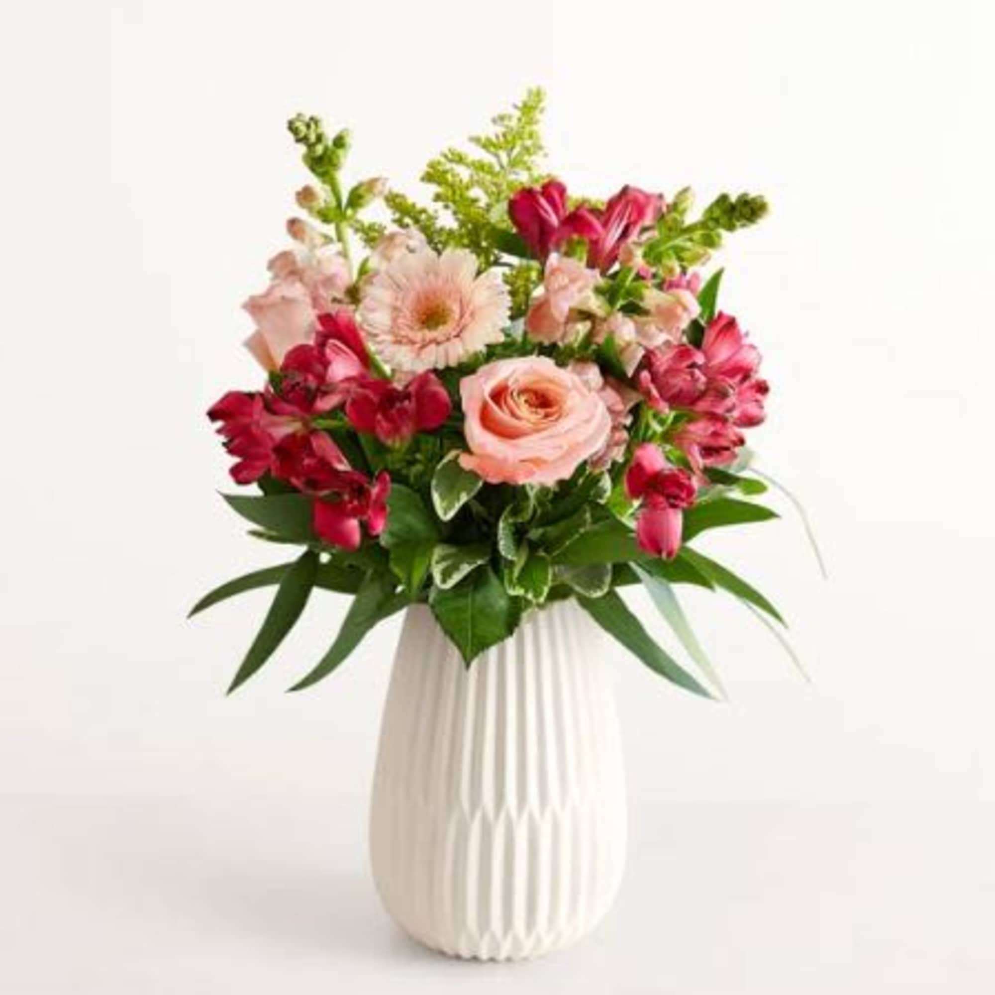  Pet Friendly?
No This bouquet contains Eucalyptus and Gerbera Daisies, which can