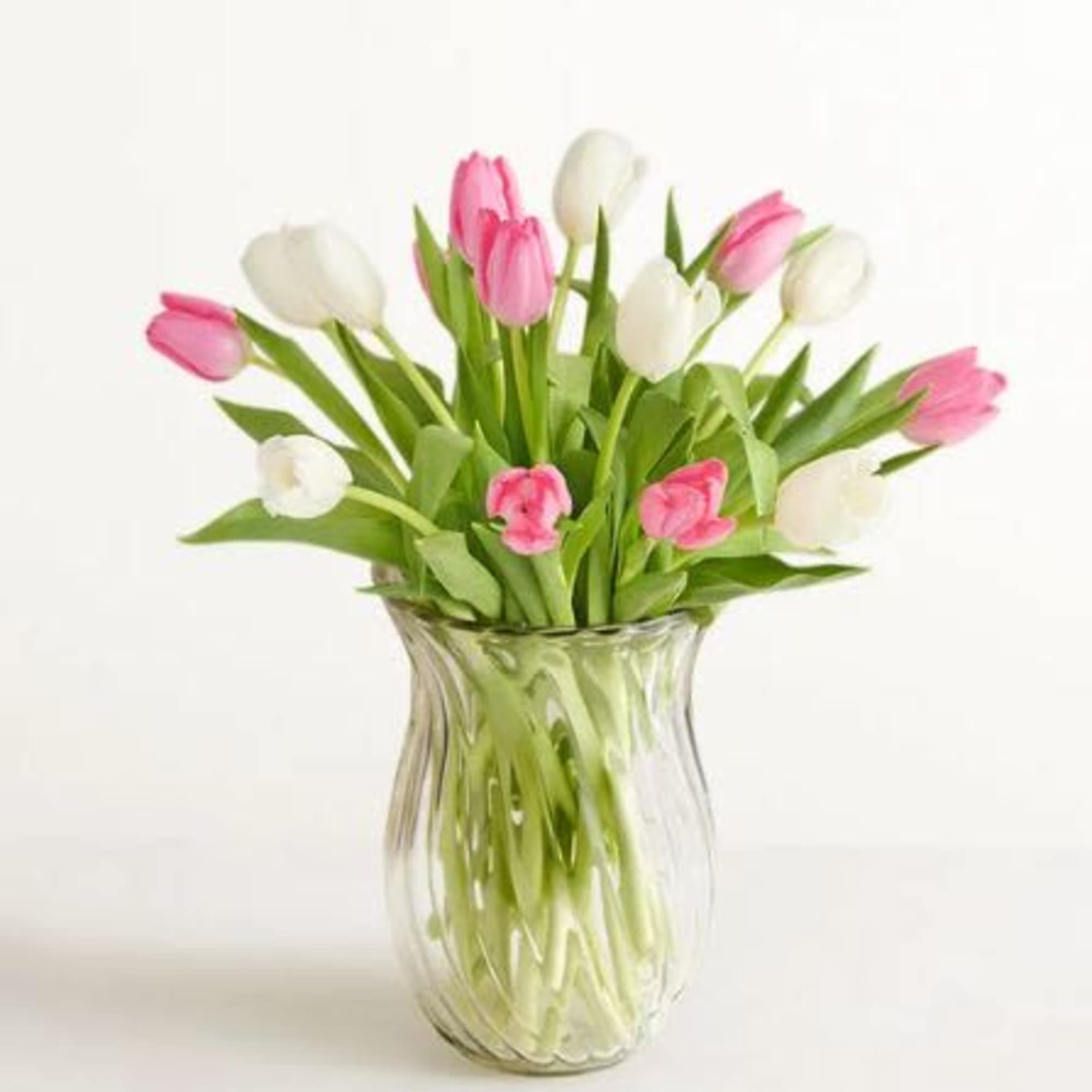  Pet Friendly?
No According to the ASPCA, Tulips contain compounds that are