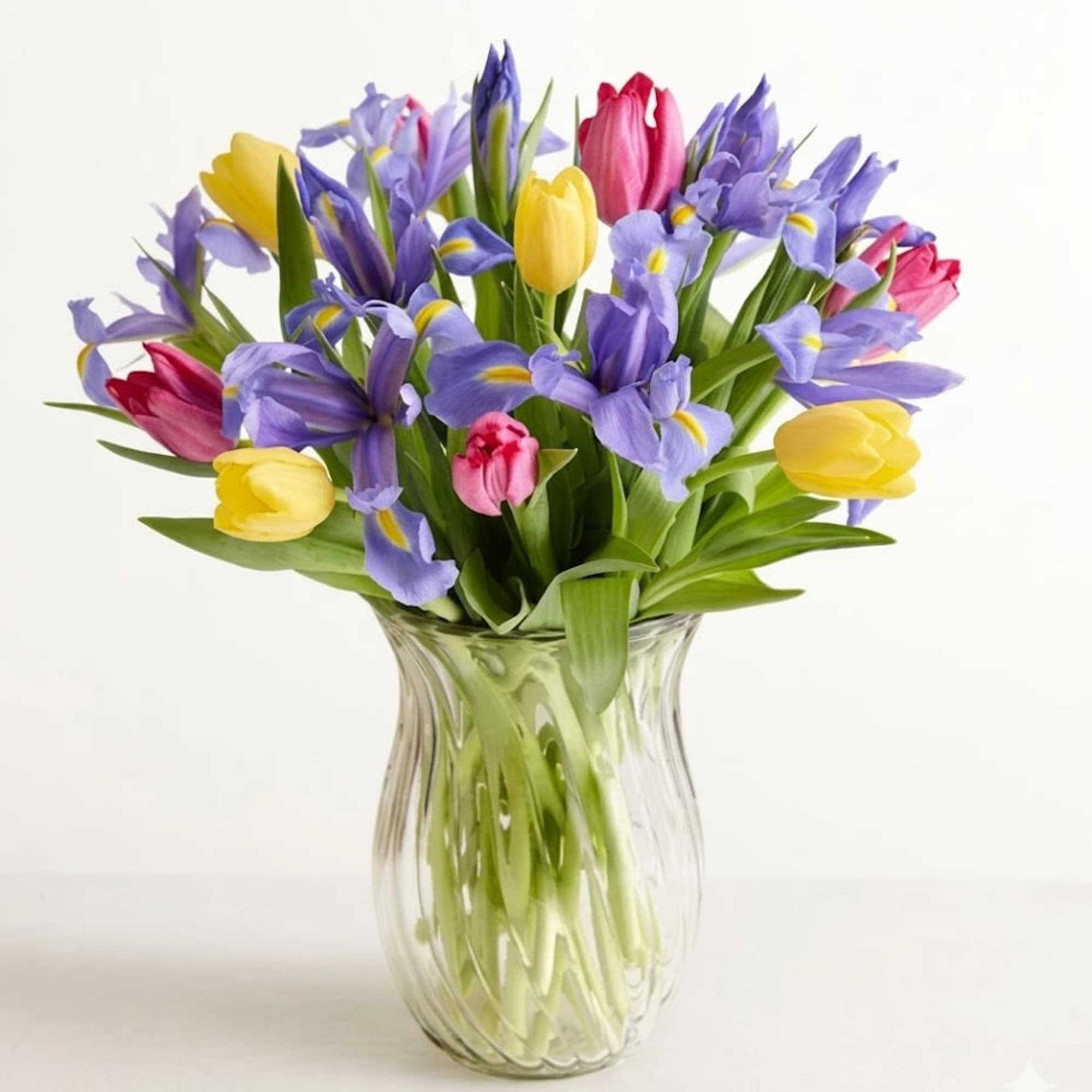  Pet Friendly?
No Both Tulips and Iris are considered toxic to household