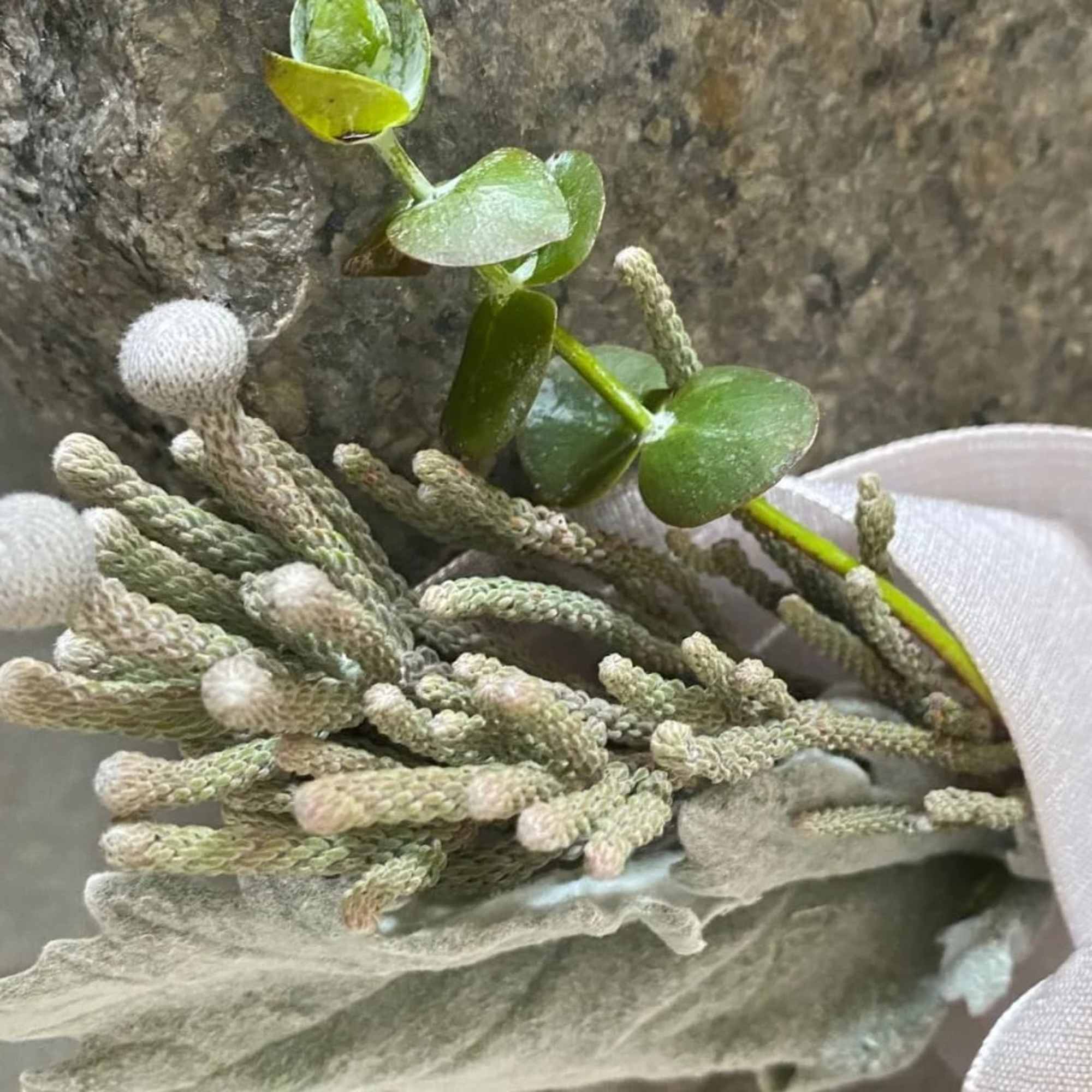 Small boutonniere with white buds, green berries, and a satin ribbon