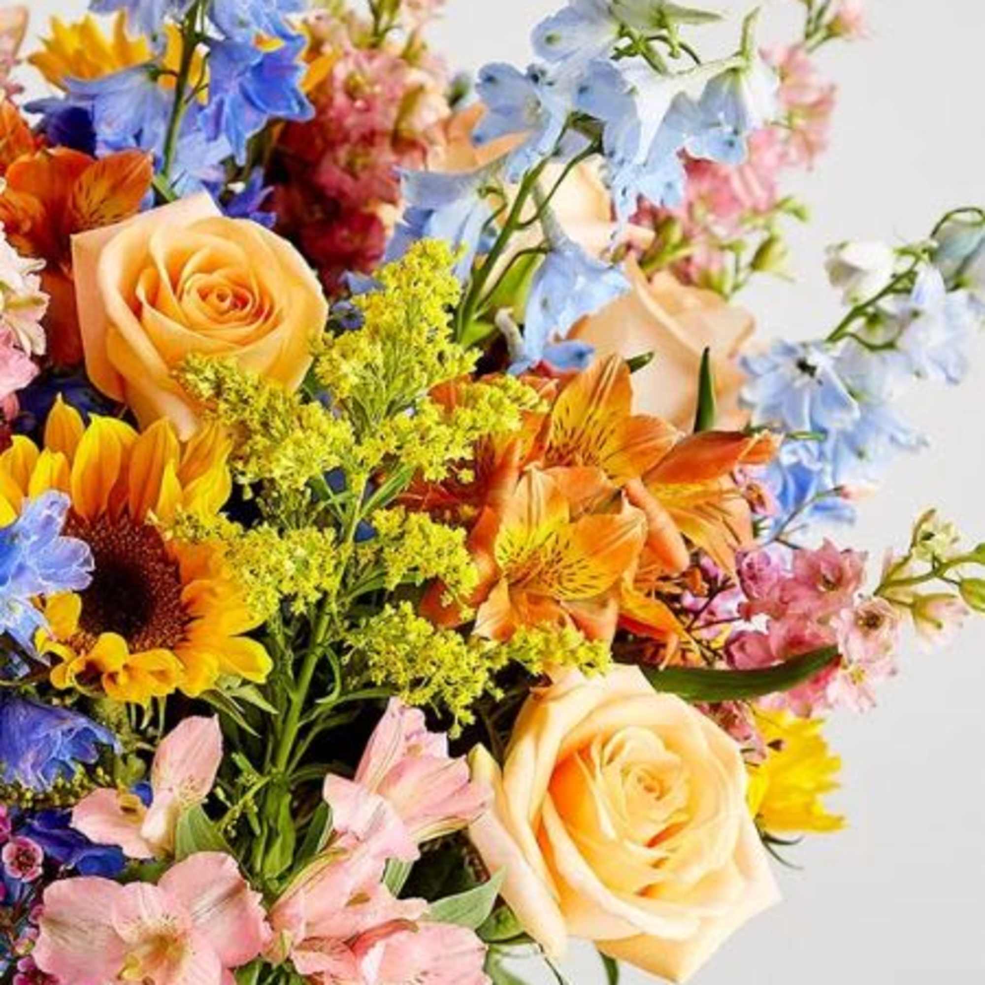  Pet Friendly?
NO While roses and sunflowers are generally safe, Alstroemeria can