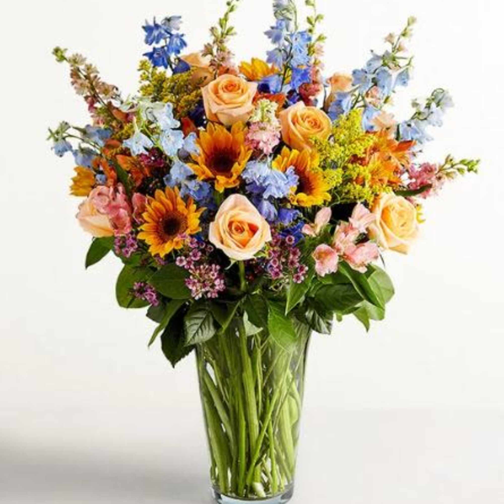  Pet Friendly?
NO While roses and sunflowers are generally safe, Alstroemeria can