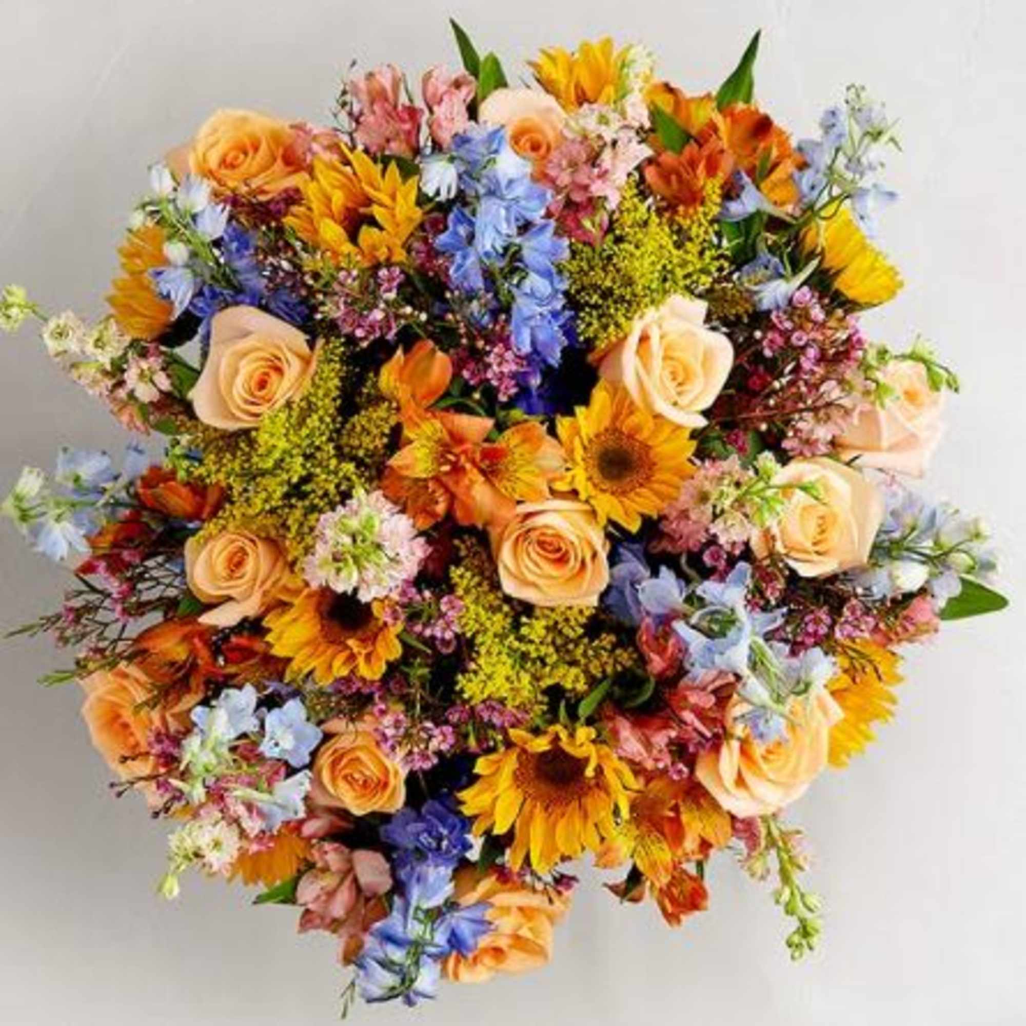  Pet Friendly?
NO While roses and sunflowers are generally safe, Alstroemeria can