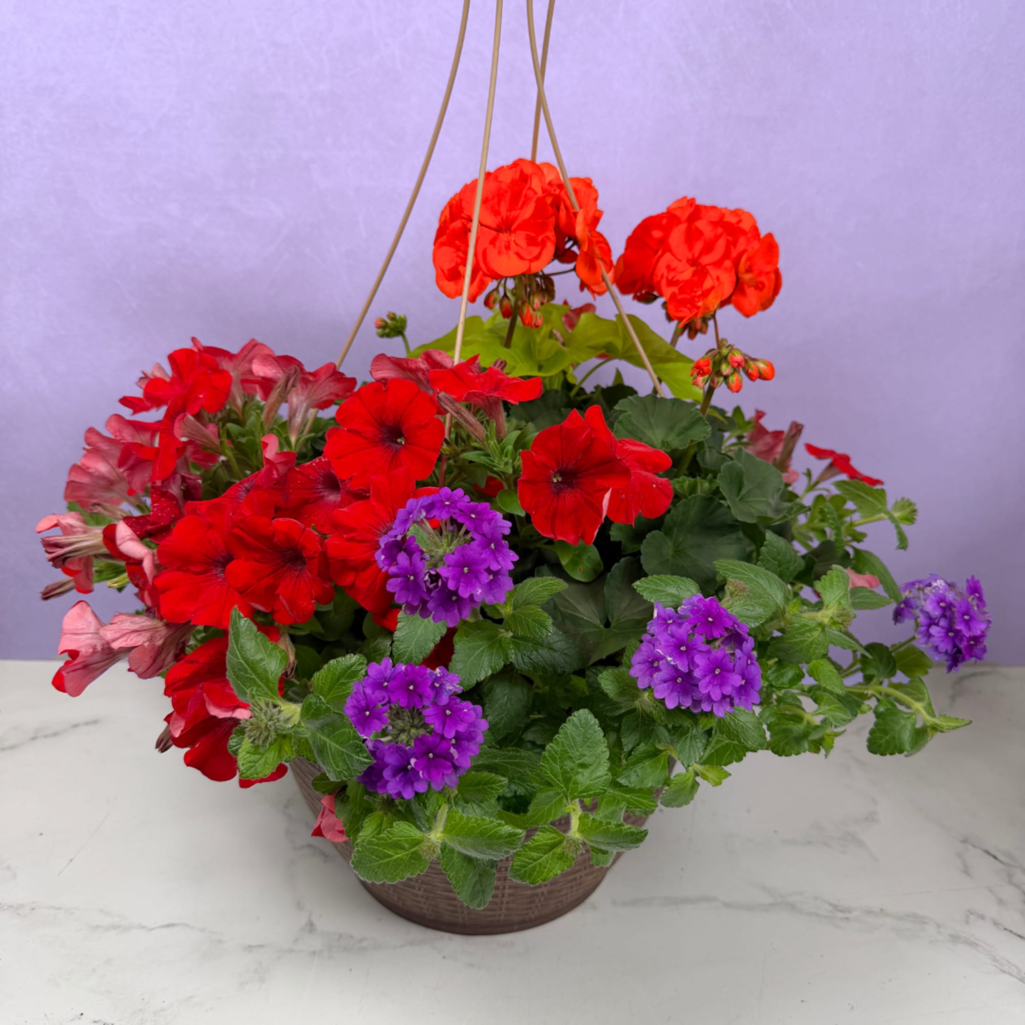 Overflowing cascades of blooms make this 13" mixed hanging basket an instant
