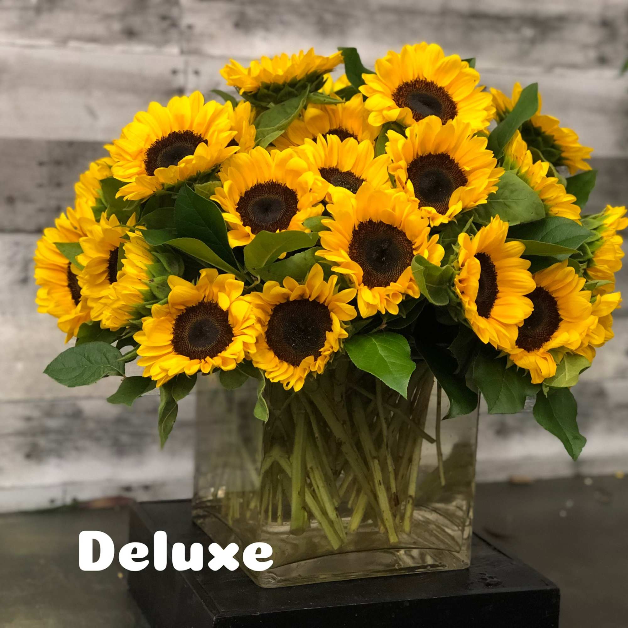 An abundant grouping of vibrant sunflowers arranged in a large glass cube.