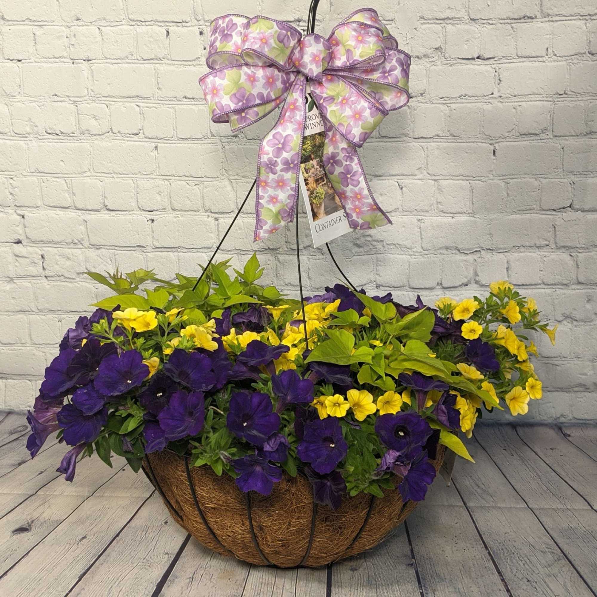 Our premium combo moss hanging baskets are filled with petunias, sweet potato