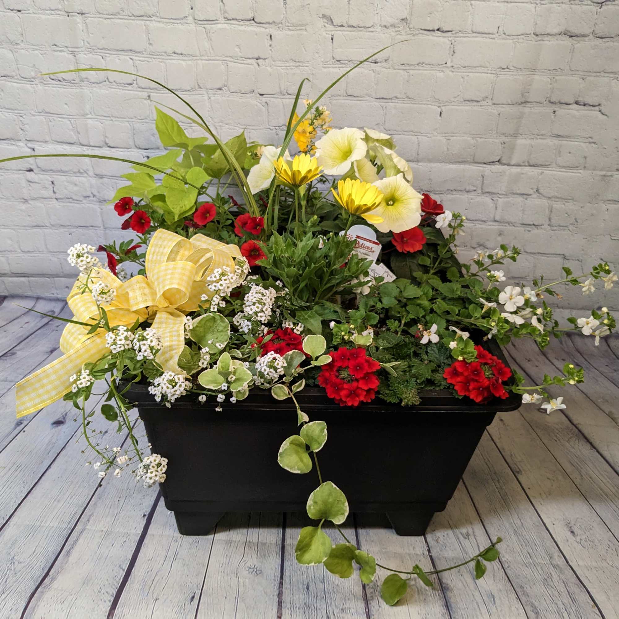 This grand mixed annual planter will bring joy and color all through