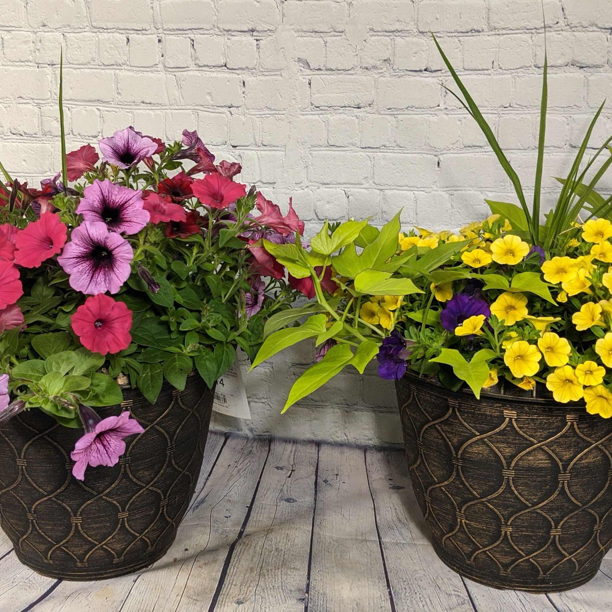 Celebrate Mom this year and help to make her porch or deck